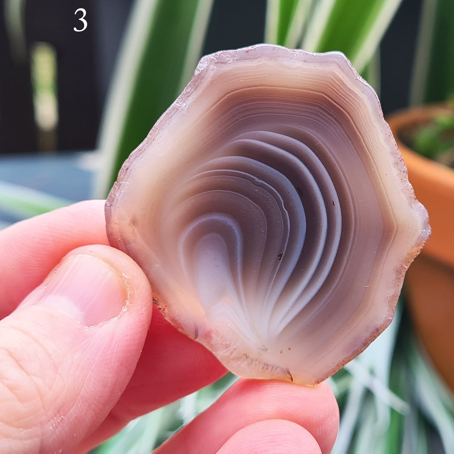 Botswana Agate Crystal Slice