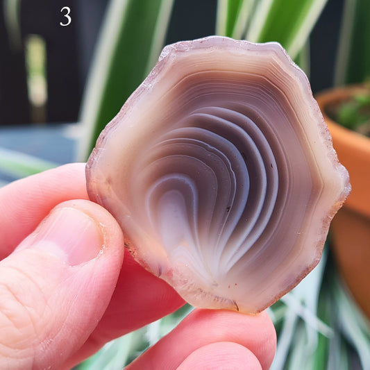 Botswana Agate Crystal Slice
