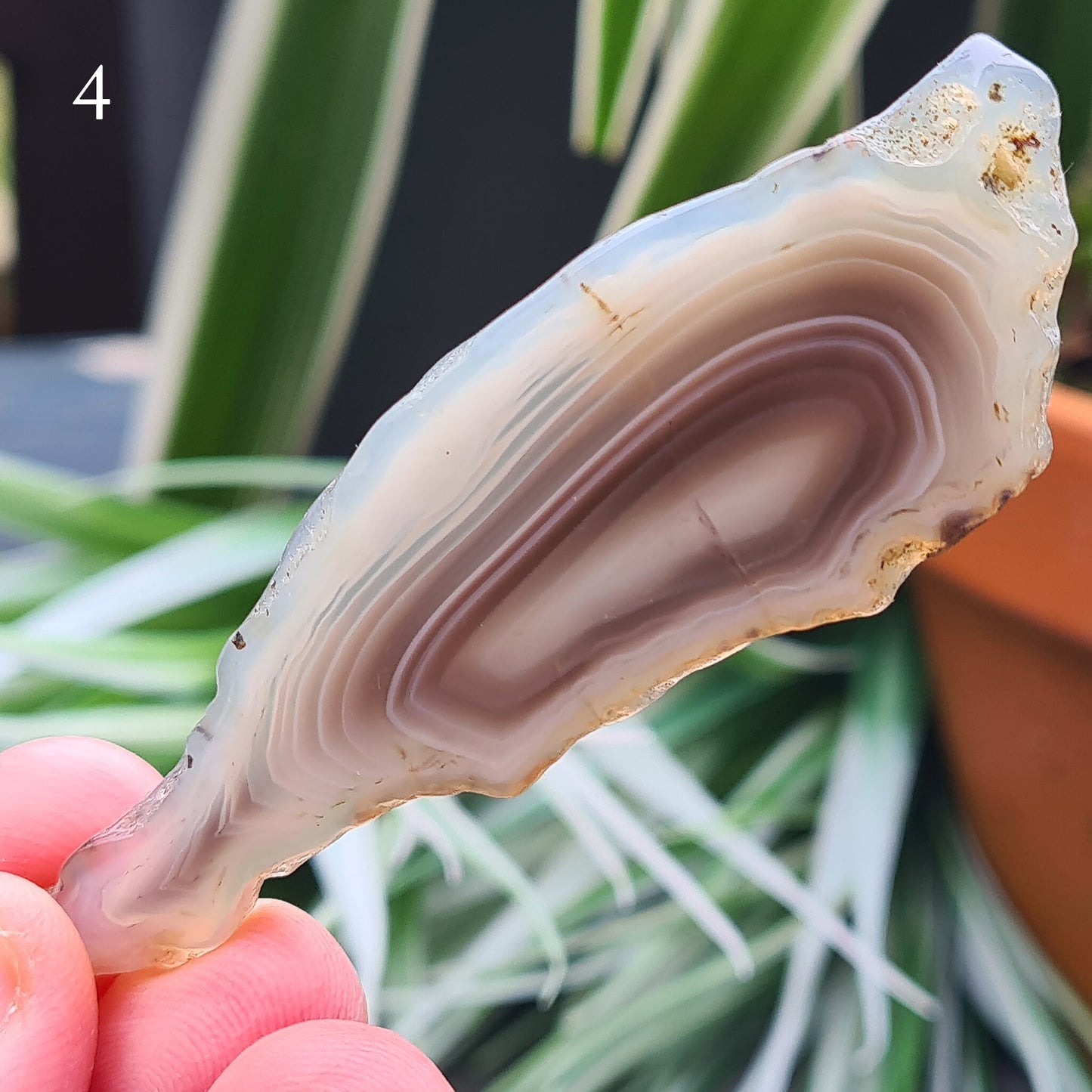 Botswana Agate Crystal Slice