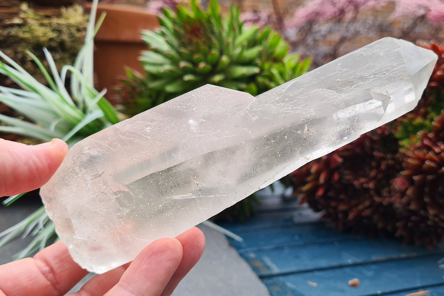 Unlock ancient wisdom with Cathedral Quartz. Enhance psychic abilities, connect to angelic realms, and amplify your vibration.