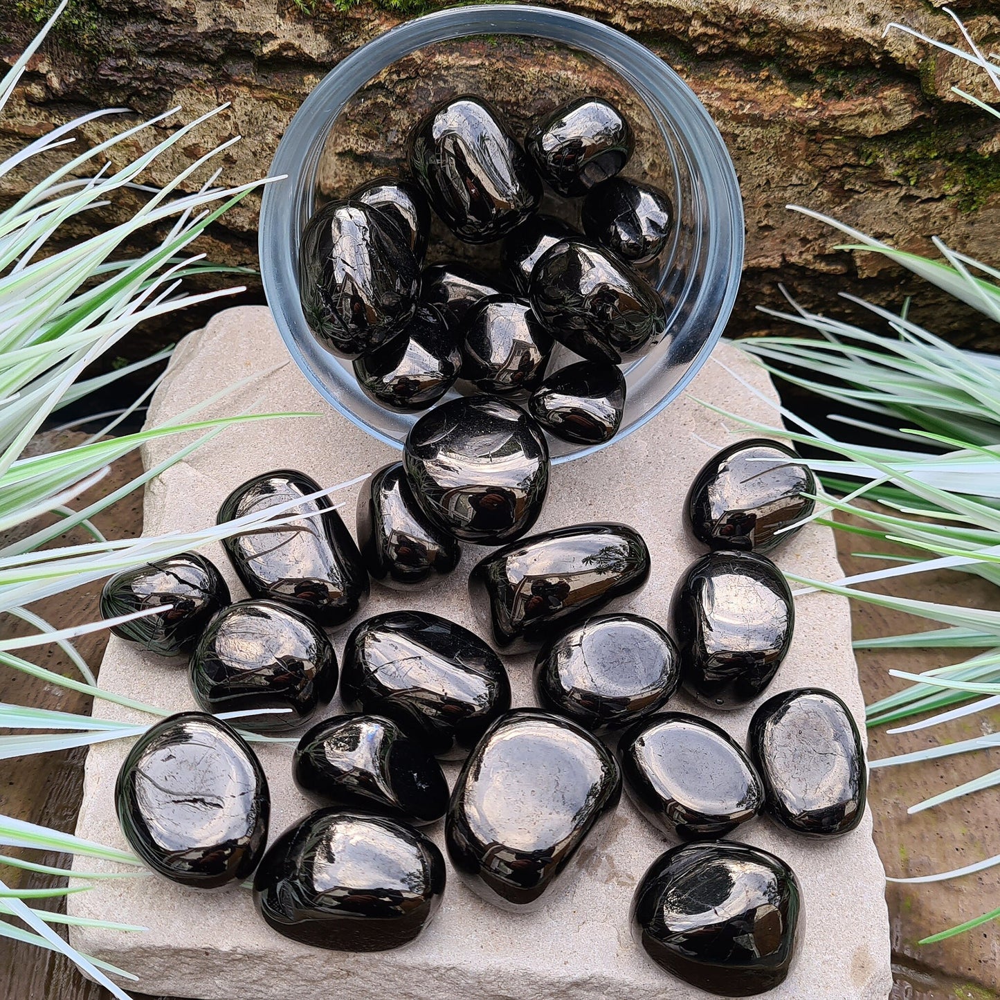 Jet Tumble Stone, Fossilized Wood