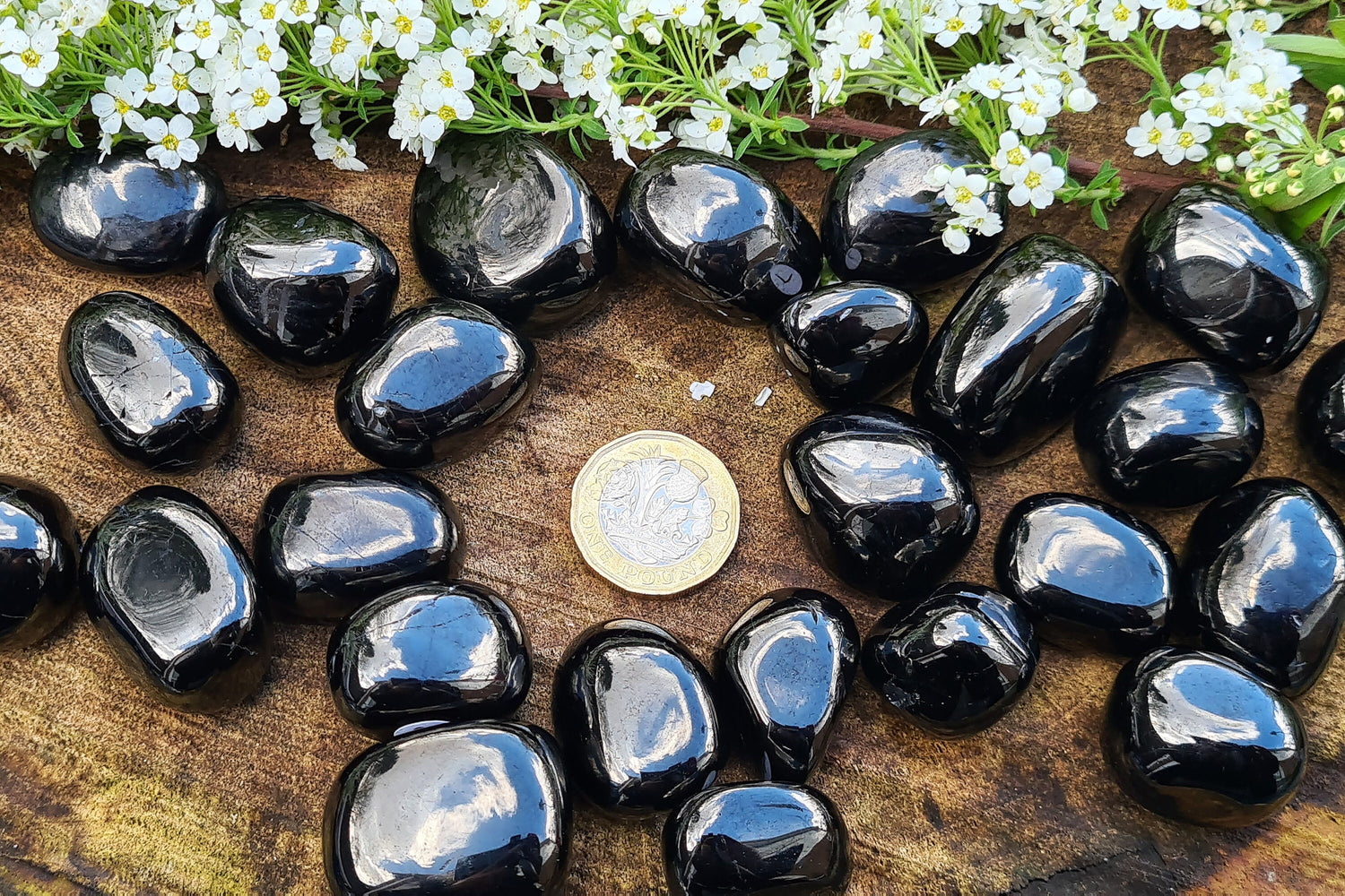 Jet Tumble Stones. From Mongolia. High shine and polish. Formed from fossilized wood, Jet is millions of years old.