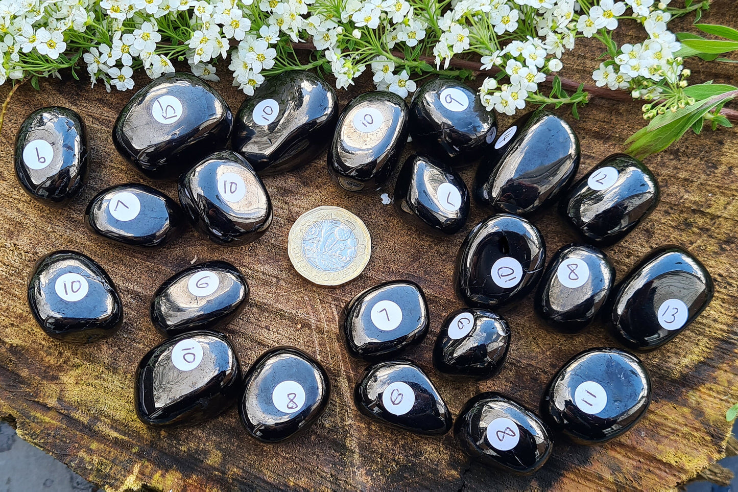 Jet Tumble Stone, Fossilized Wood