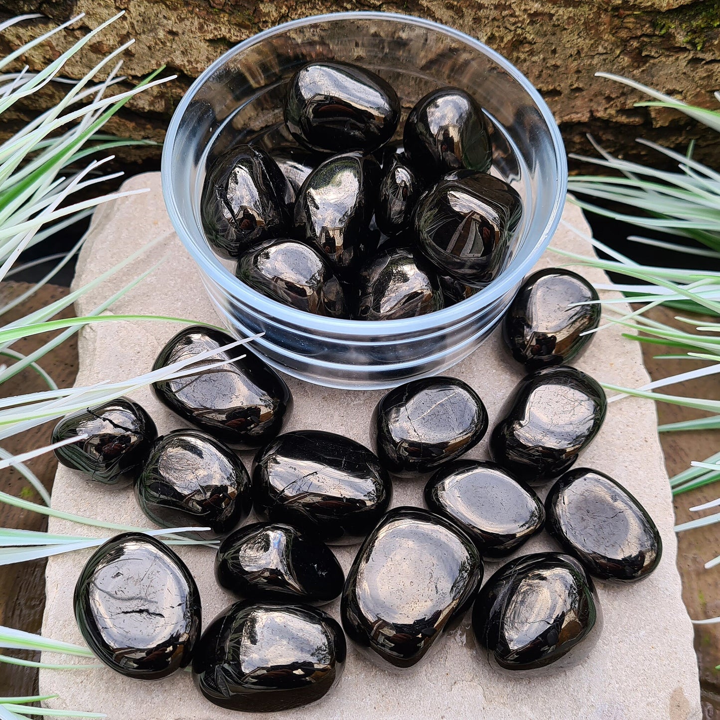 Jet Tumble Stone, Fossilized Wood