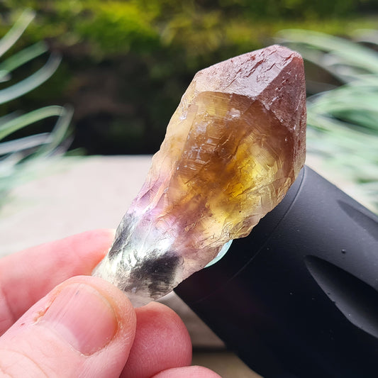 Experience profound healing with Red Capped Amethyst Crystal. Calm your mind, deepen meditation, and amplify metaphysical capabilities.