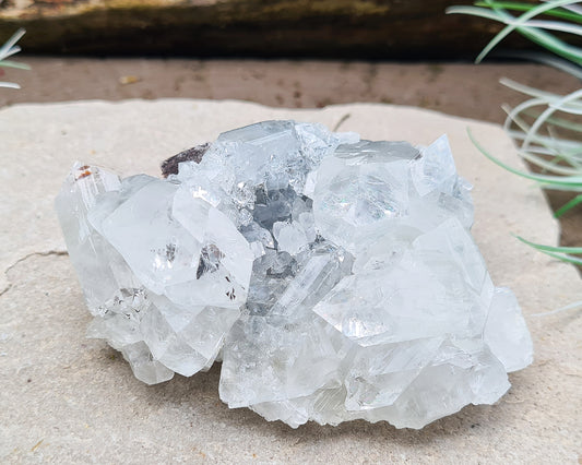 Apophyllite Cluster From India. Great quality clear Apophyllite crystal formations in this cluster, really clear points one of which is a double terminated point. Also known as a Zeolite.