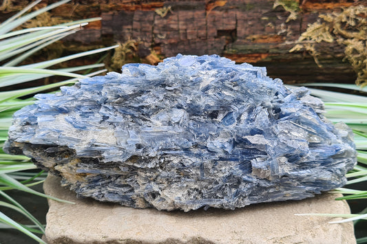 Blue Kyanite cluster from Brazil with natural blade formation. Supports clear thinking, communication, and balanced, grounded energy.