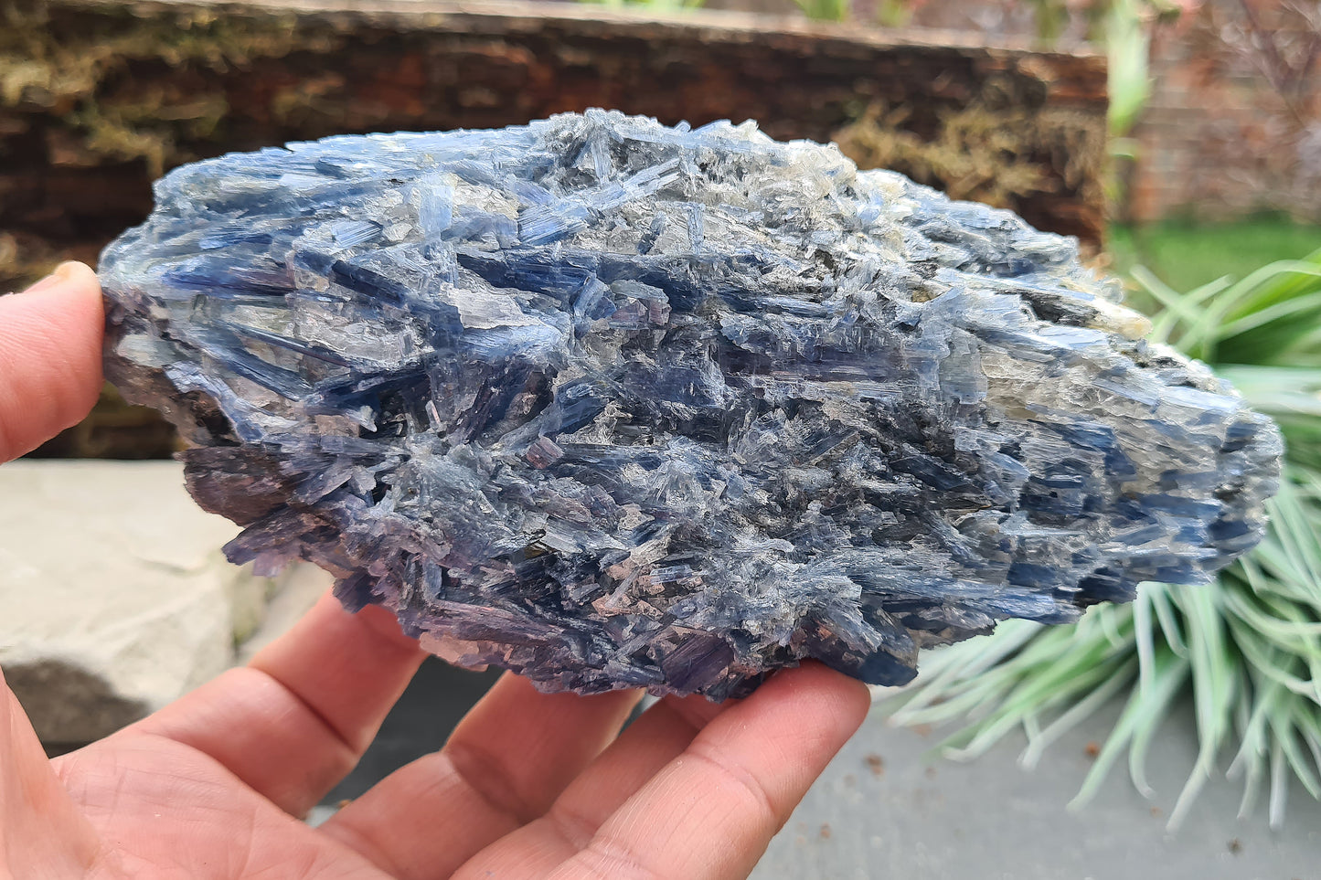 Blue Kyanite cluster from Brazil with natural blade formation. Supports clear thinking, communication, and balanced, grounded energy.