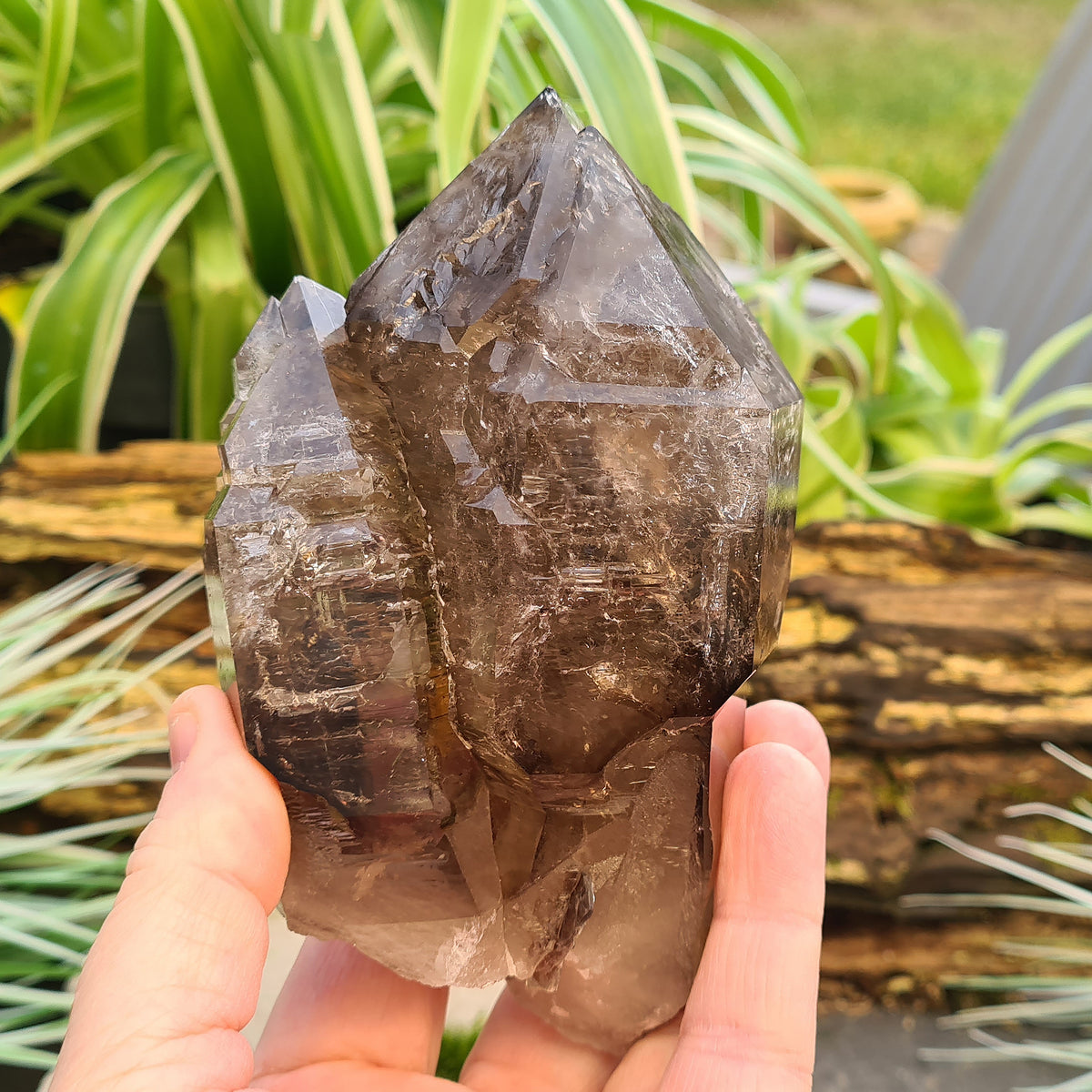 Smoky Quartz Point with Green Mica & Lepidolite from Brazil. A unique grounding crystal supporting balance, protection, emotional renewal, and calm.