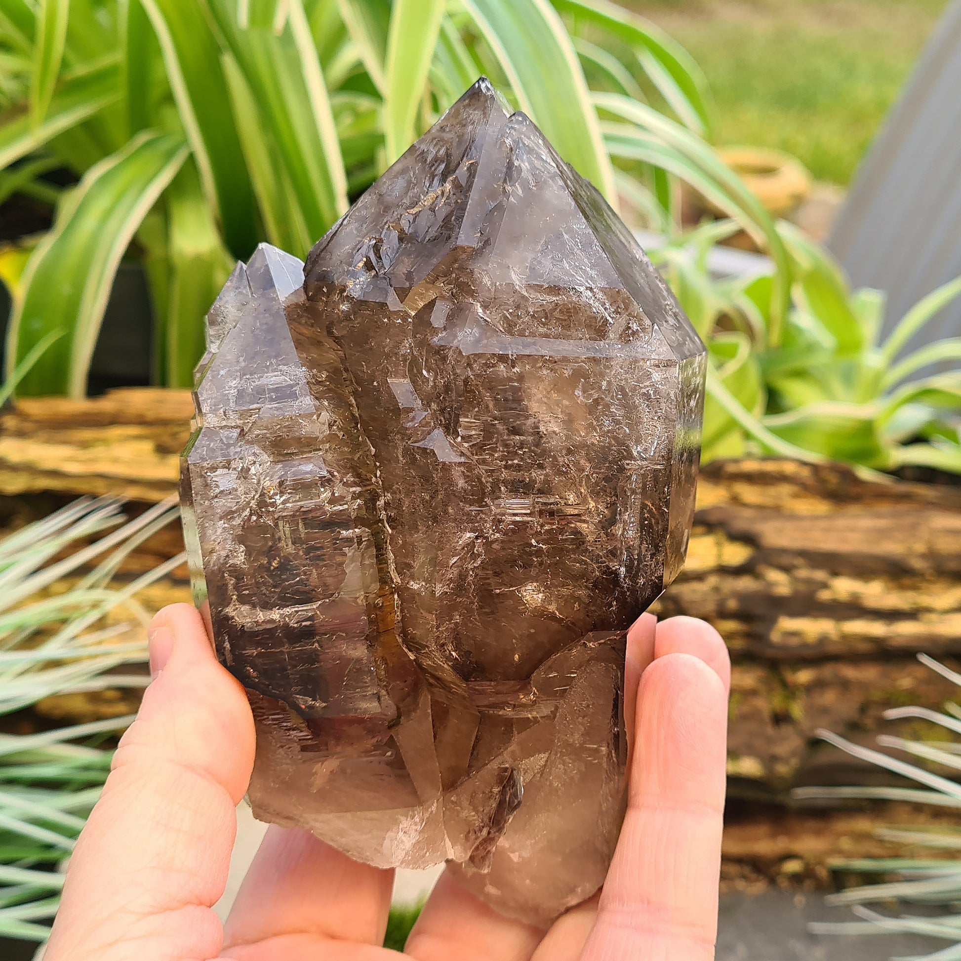 Smoky Quartz Point with Green Mica & Lepidolite from Brazil. A unique grounding crystal supporting balance, protection, emotional renewal, and calm.