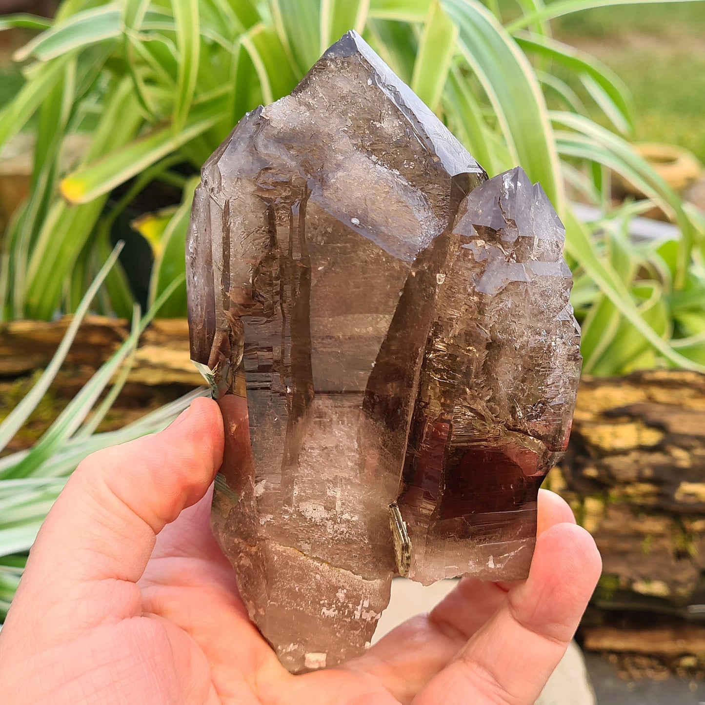 Smoky Quartz Point with Green Mica & Lepidolite from Brazil. A unique grounding crystal supporting balance, protection, emotional renewal, and calm.