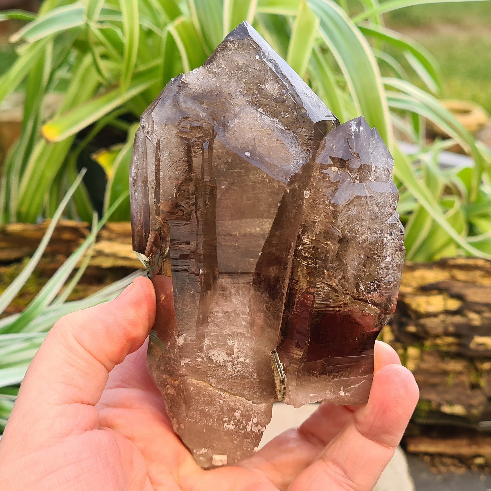 Smoky Quartz Point with Green Mica & Lepidolite from Brazil. A unique grounding crystal supporting balance, protection, emotional renewal, and calm.