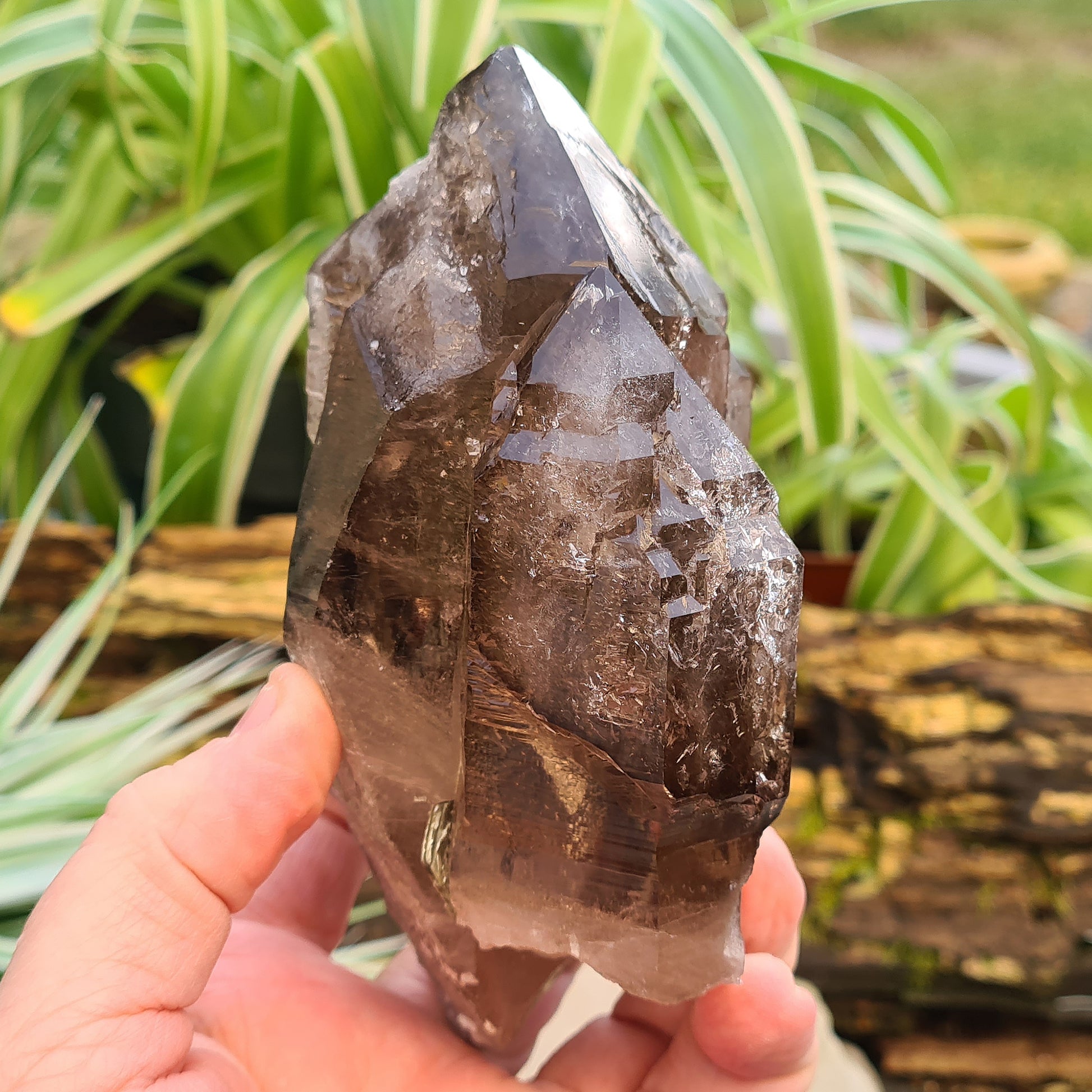 Smoky Quartz Point with Green Mica & Lepidolite from Brazil. A unique grounding crystal supporting balance, protection, emotional renewal, and calm.