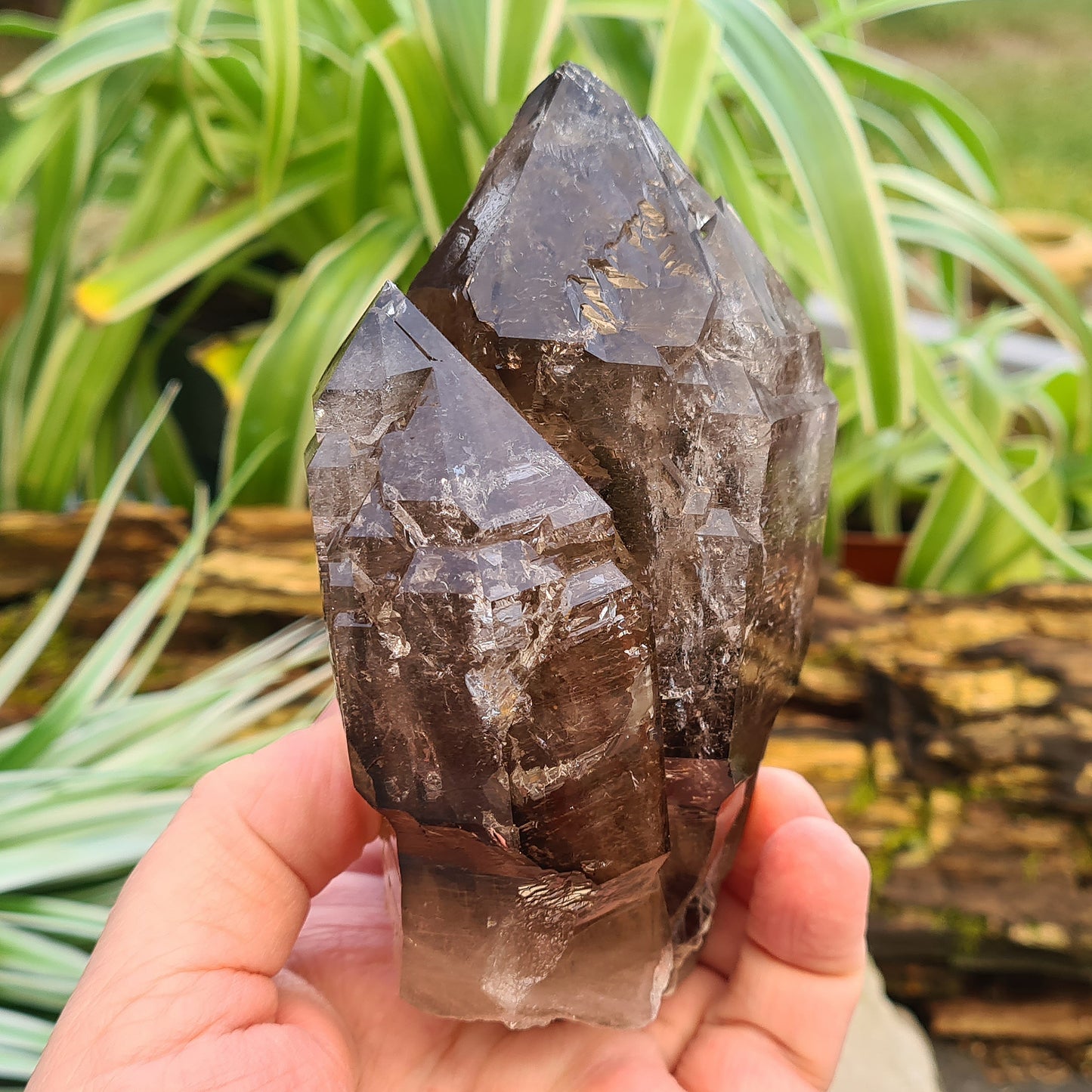 Smoky Quartz Point with Green Mica & Lepidolite from Brazil. A unique grounding crystal supporting balance, protection, emotional renewal, and calm.