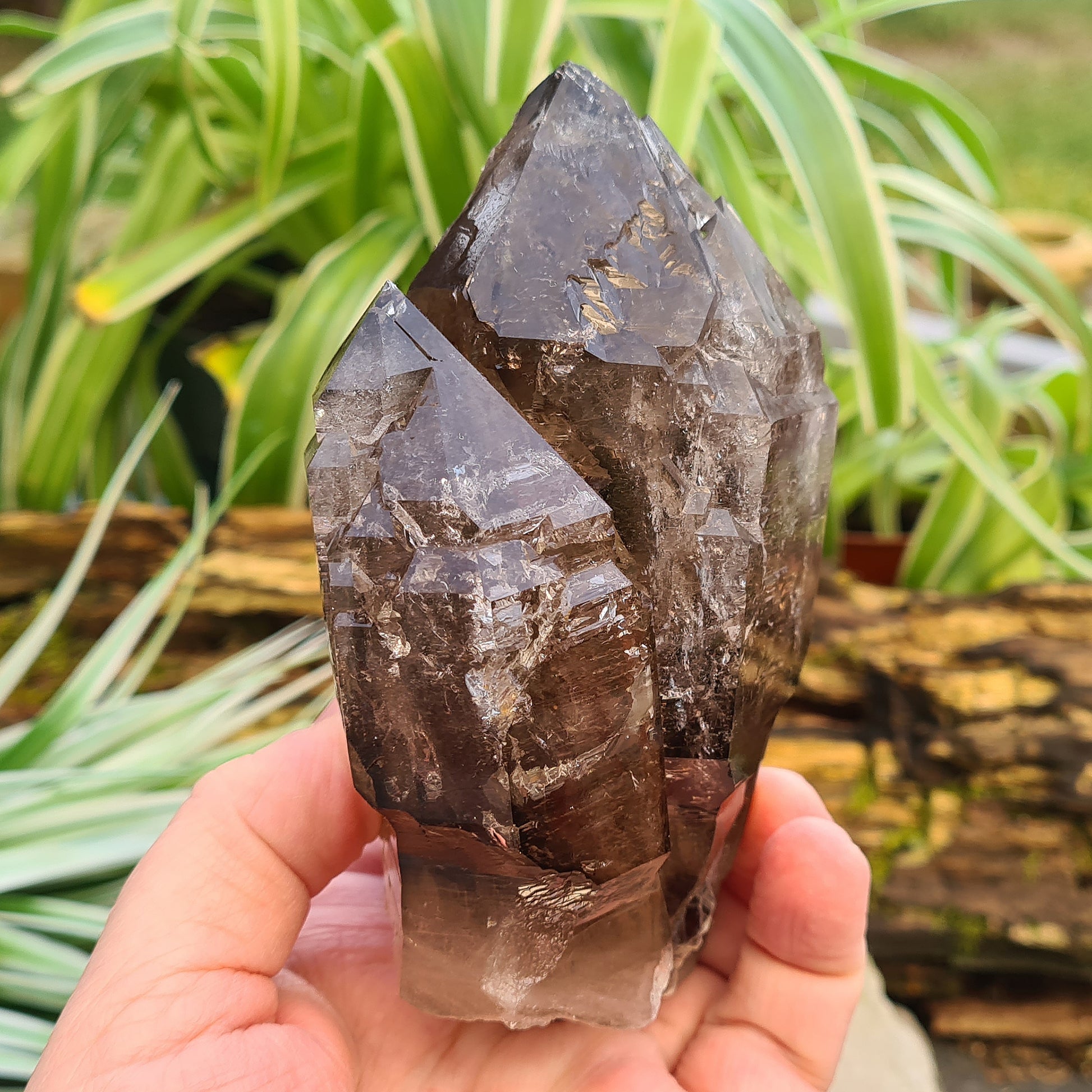 Smoky Quartz Point with Green Mica & Lepidolite from Brazil. A unique grounding crystal supporting balance, protection, emotional renewal, and calm.