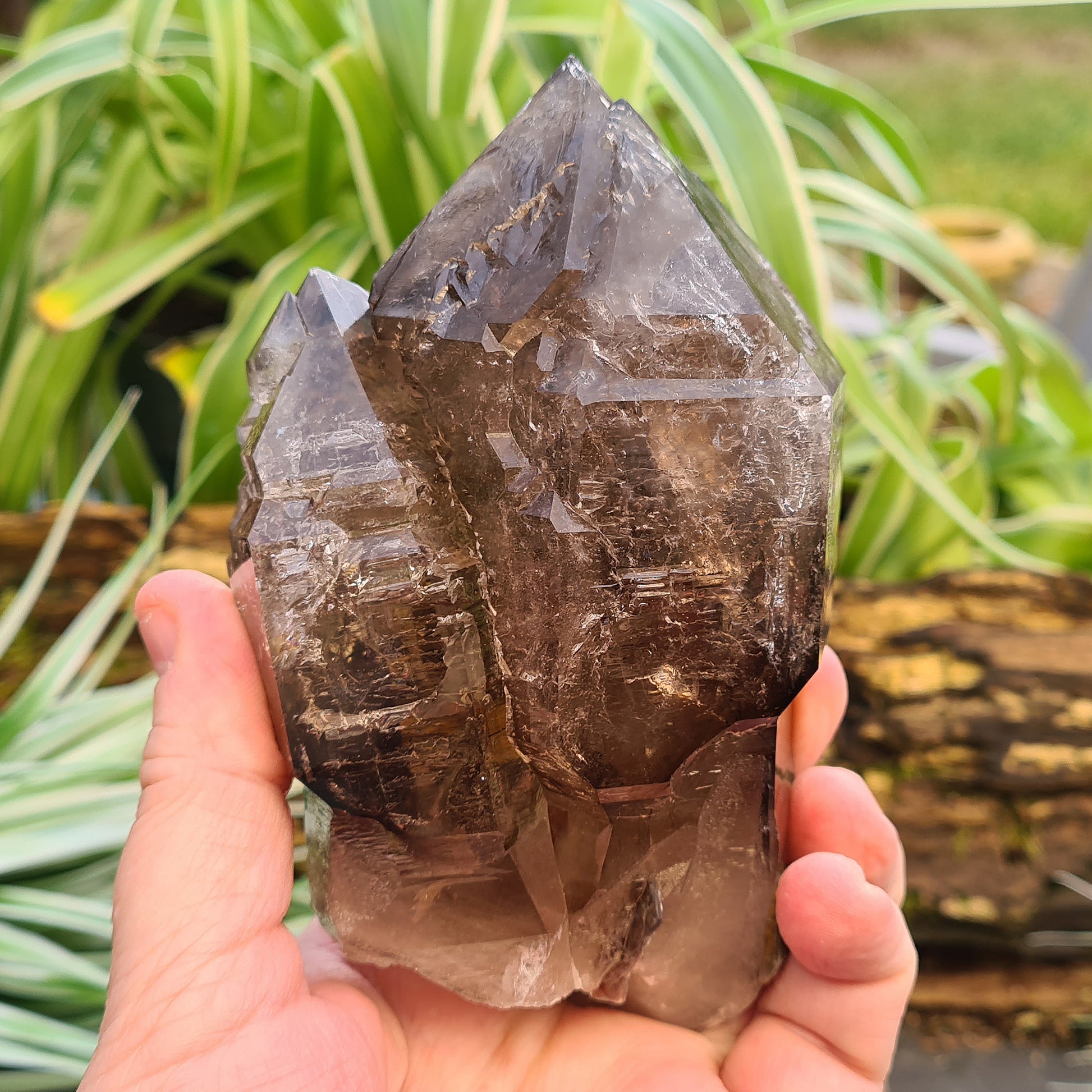 Smoky Quartz Point with Green Mica & Lepidolite from Brazil. A unique grounding crystal supporting balance, protection, emotional renewal, and calm.