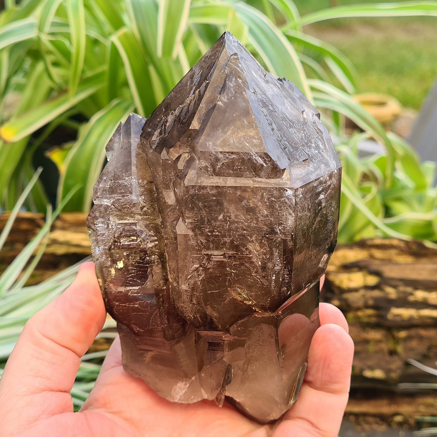 Natural Smoky Quartz Crystal Point From Brazil. This is a fabulous smoky quartz point, with a larger point and smaller point parallel to it. There are also 2 small pieces of green mica and one small piece of lepidolite Mica attached to this magnificent piece.