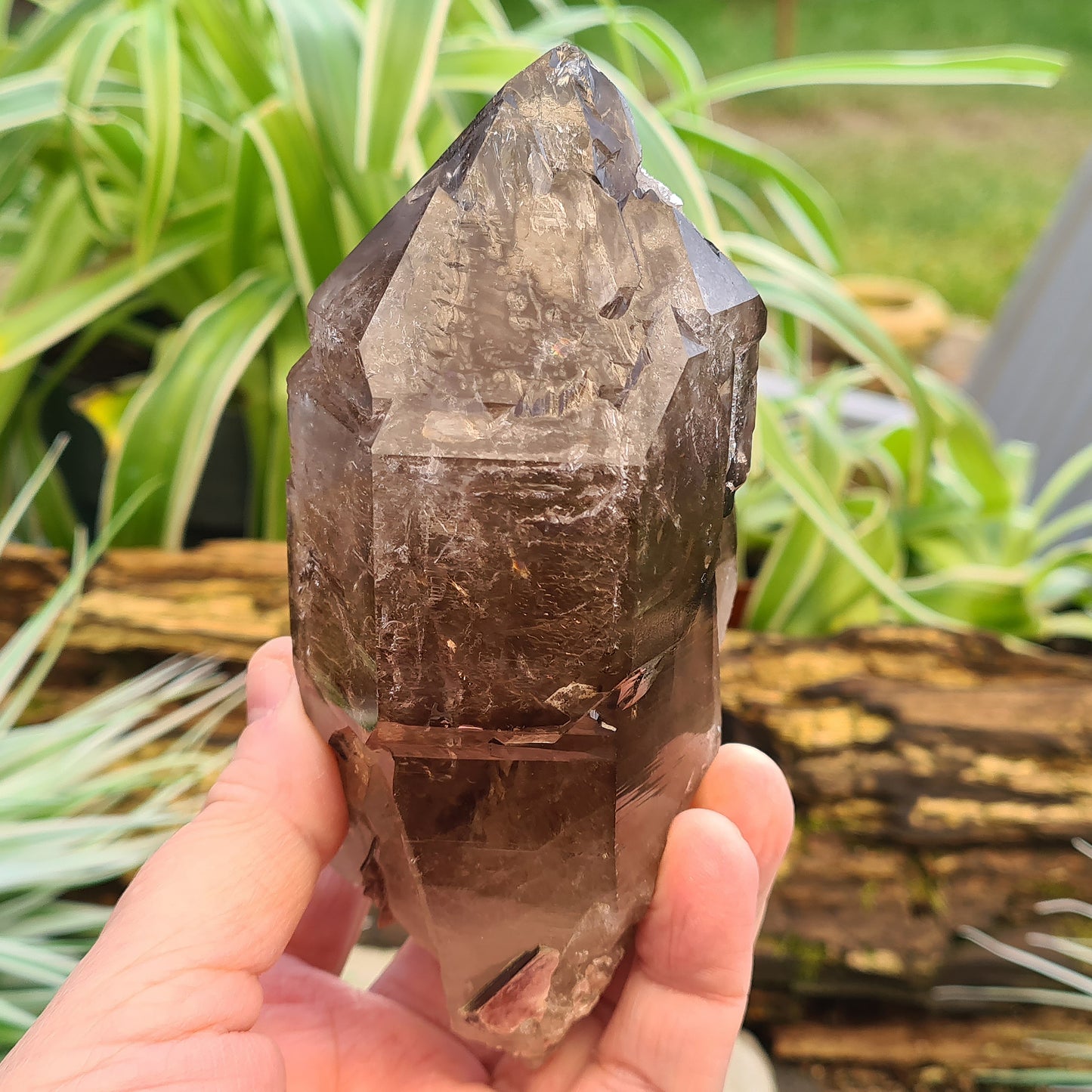 Smoky Quartz Point with Green Mica & Lepidolite from Brazil. A unique grounding crystal supporting balance, protection, emotional renewal, and calm.