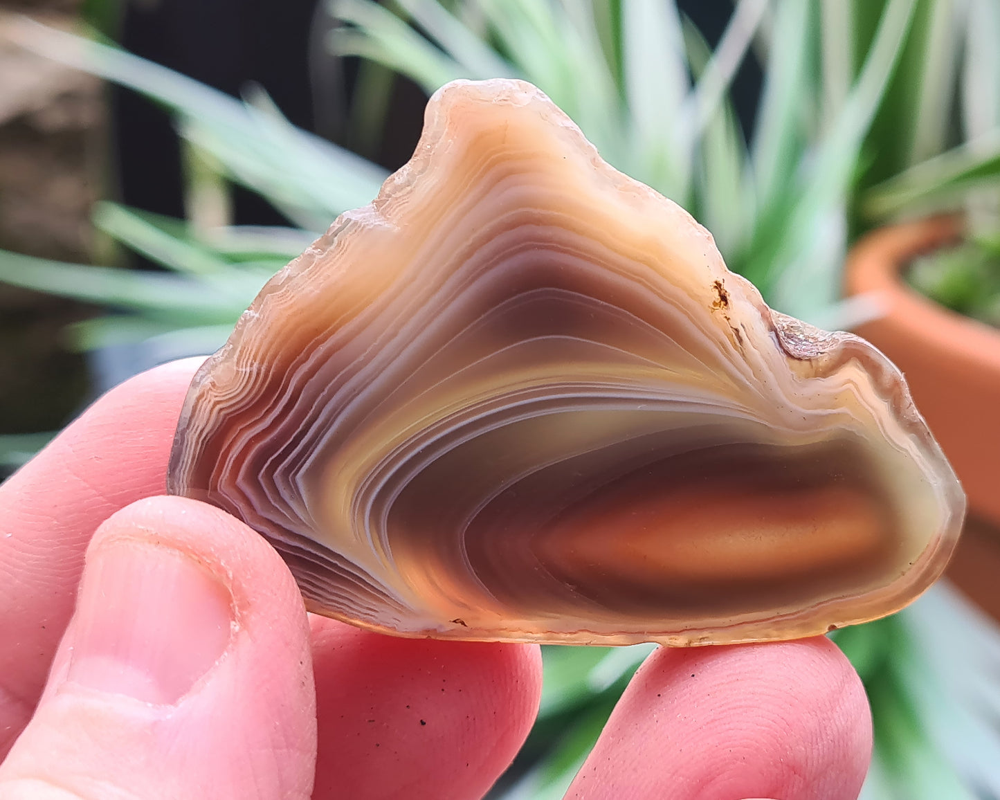 Botswana Agate Crystal Slice