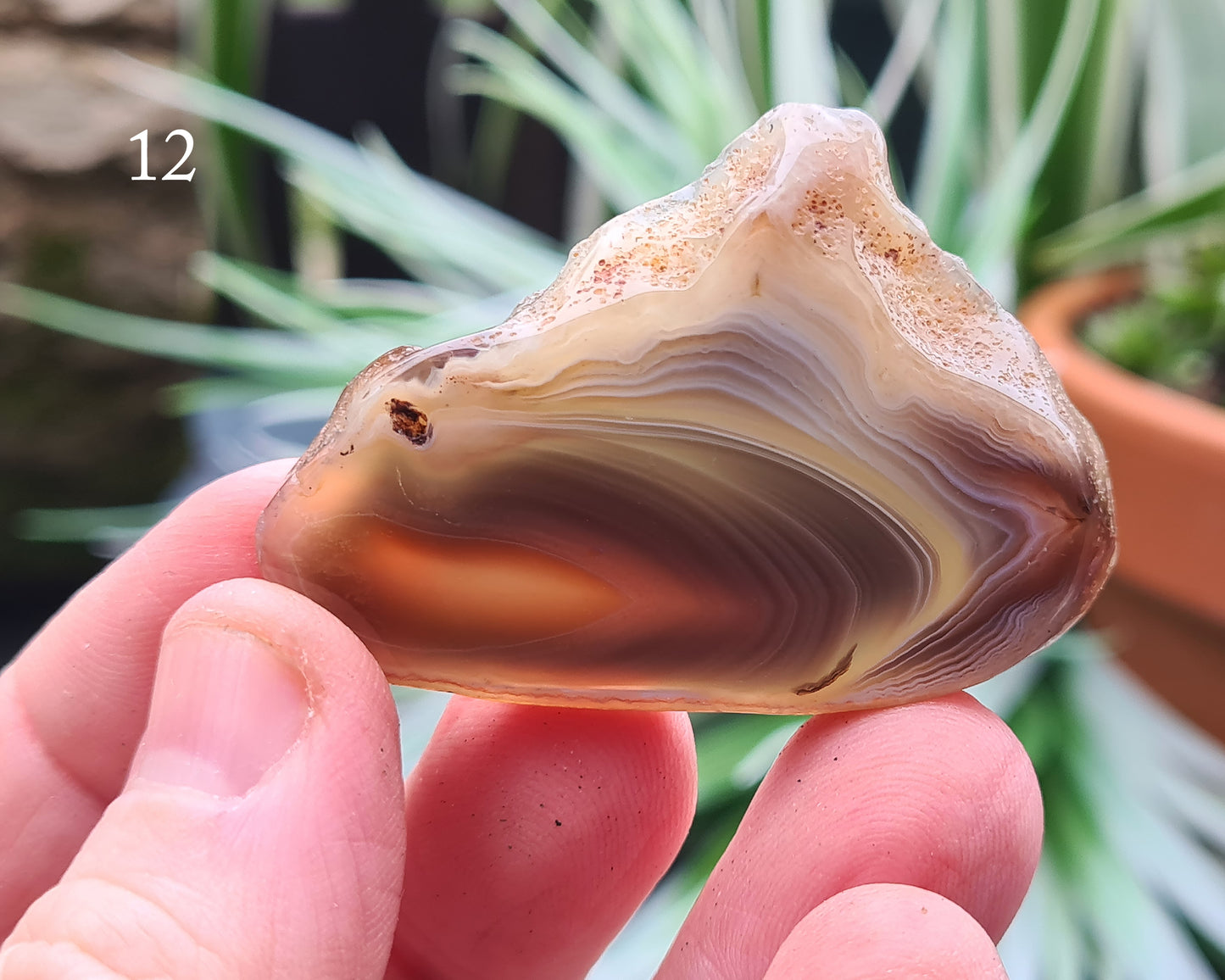 Botswana Agate Crystal Slice