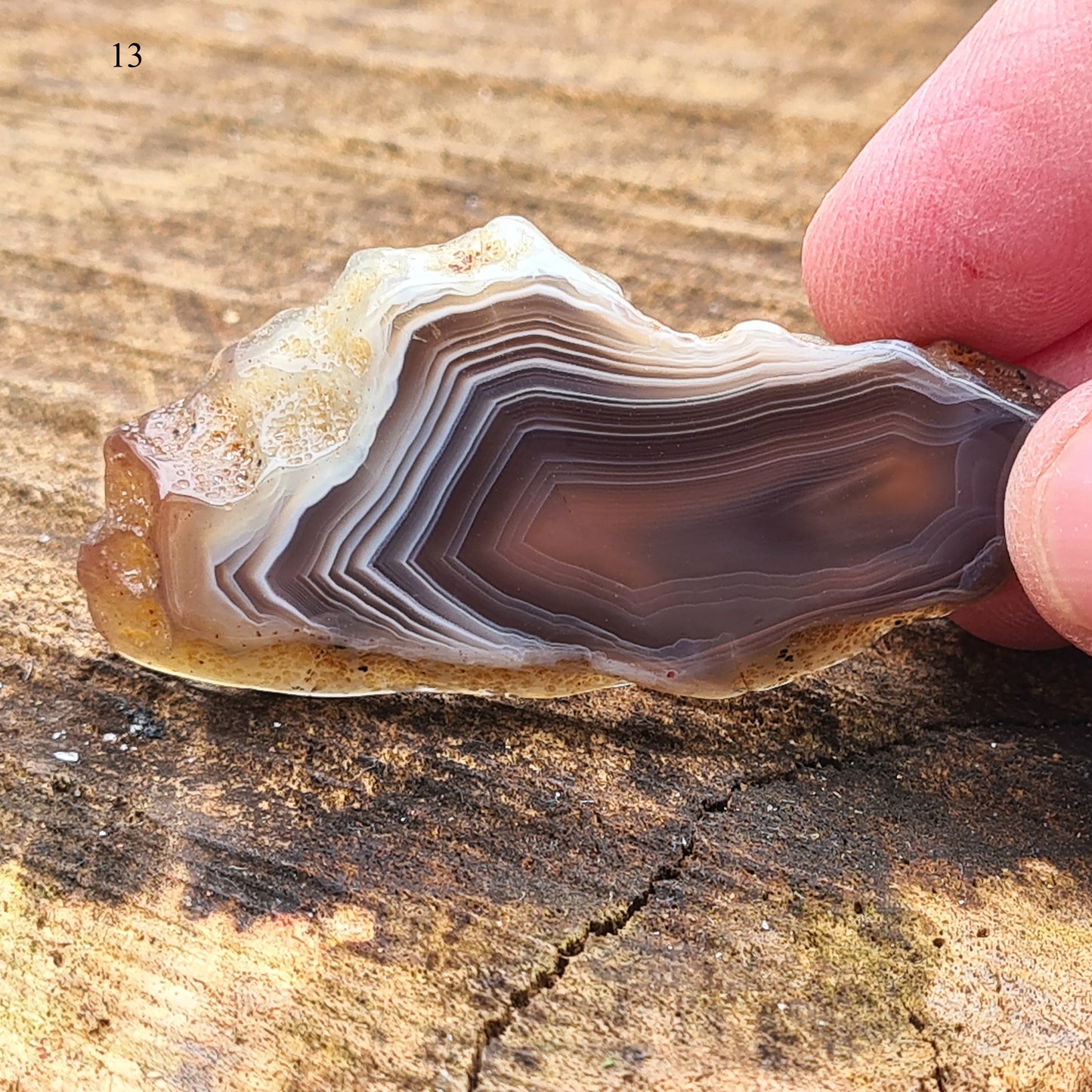 Botswana Agate Crystal Slice