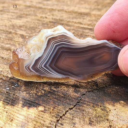 Botswana Agate Crystals originates from Botswana and is known for its distinctive banding, typically featuring shades of grey, white, black, and brown, with occasional pink hues.