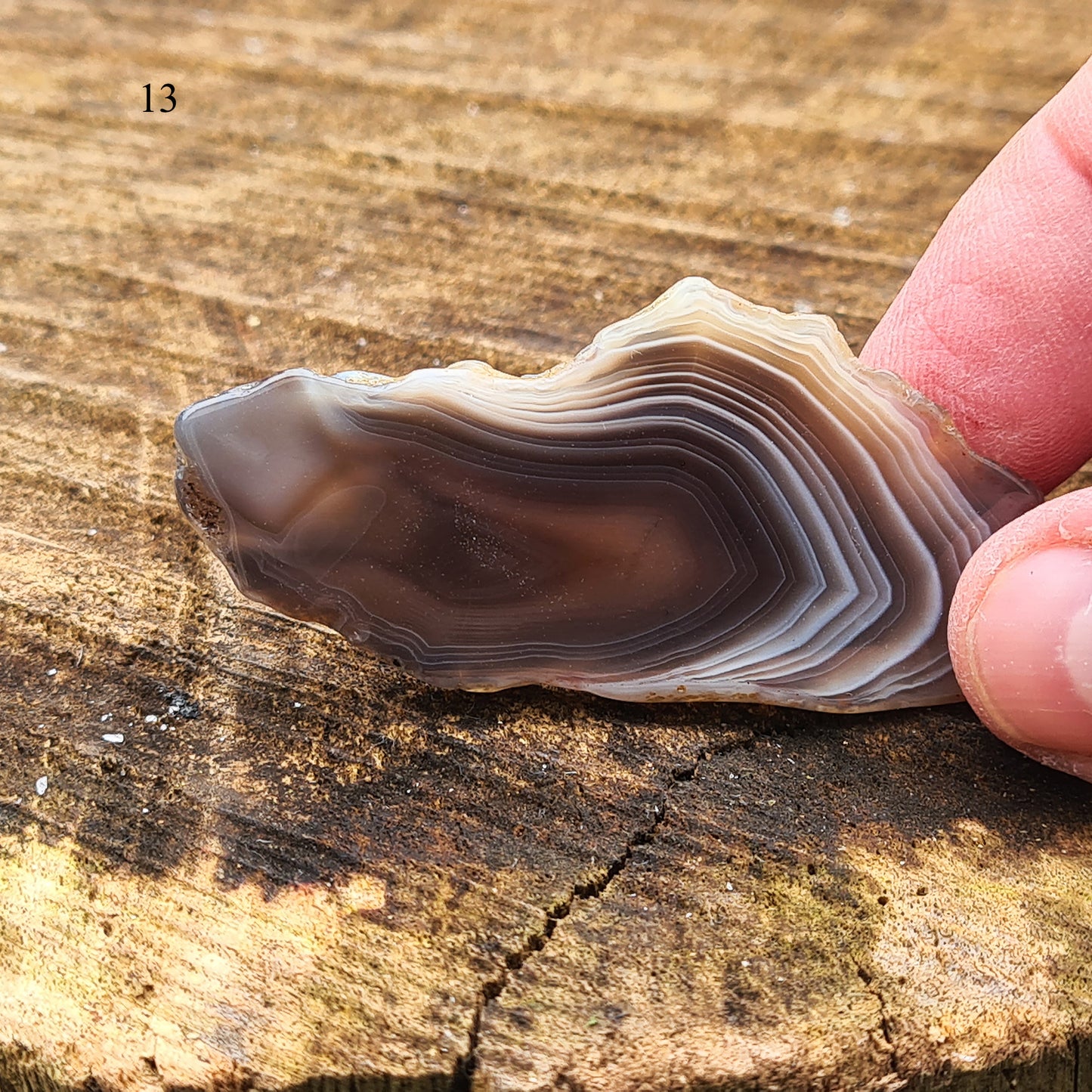 Botswana Agate Crystal Slice