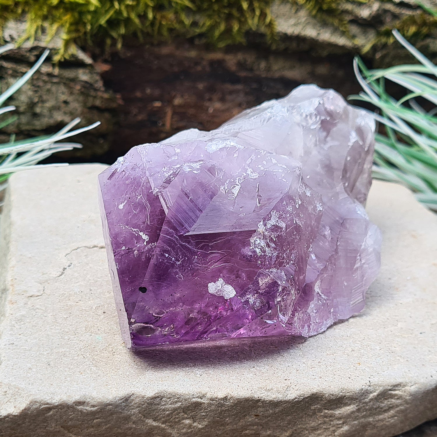 Amethyst Crystal Point from Brazil. A striking piece with deep purple colouring and a polished point. Also known as Amethyst Root.

Measuring 12 cm in length, 6.5 cm in width, and 4 cm in depth, this crystal weighs about 325 grams.