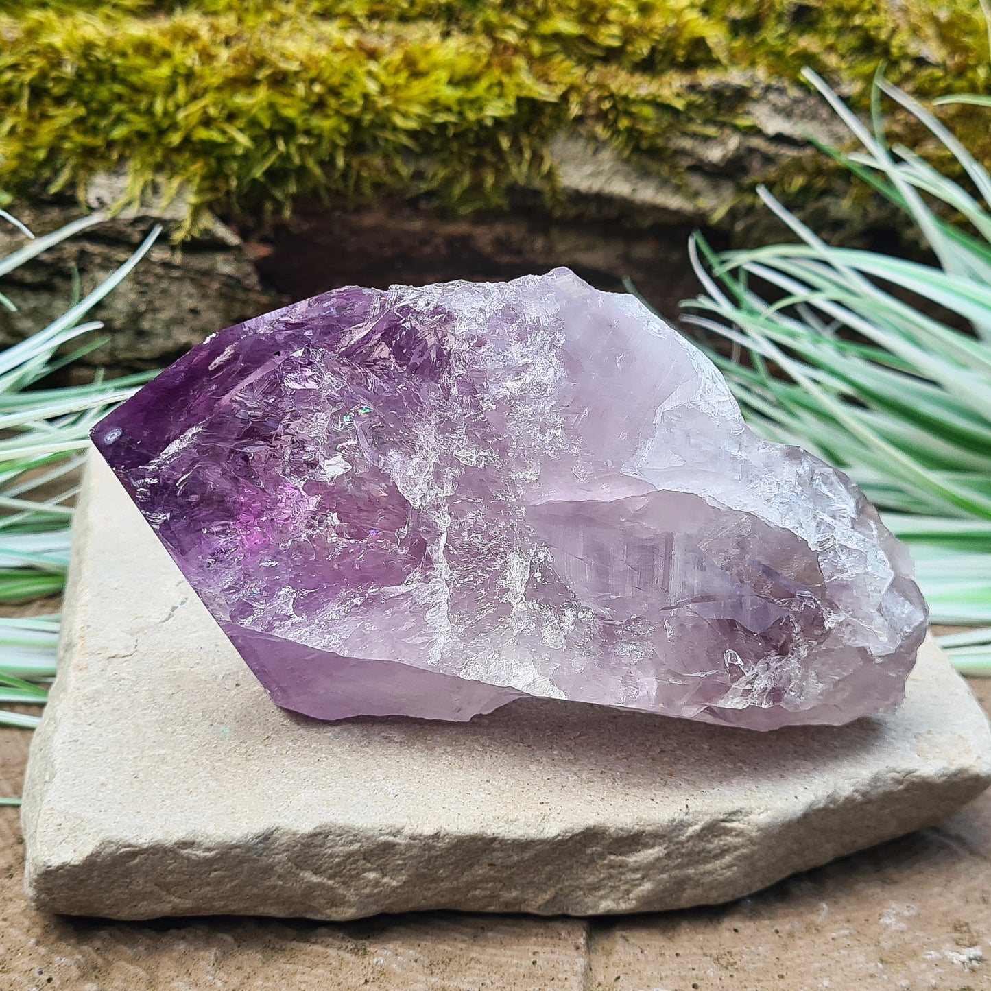 Amethyst Crystal Point from Brazil. A striking piece with deep purple colouring and a polished point. Also known as Amethyst Root.

Measuring 12 cm in length, 6.5 cm in width, and 4 cm in depth, this crystal weighs about 325 grams.