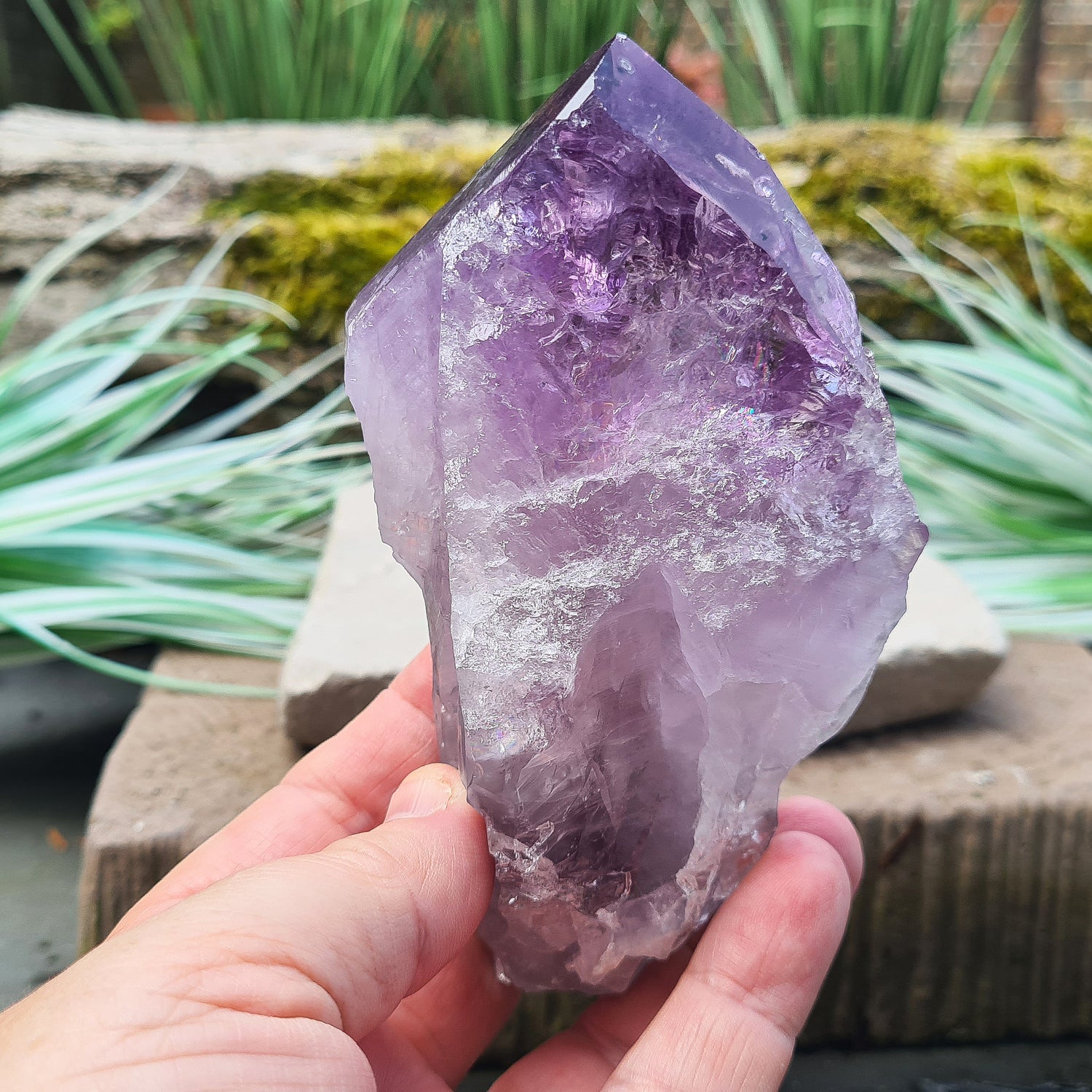 Amethyst Crystal Point from Brazil. A striking piece with deep purple colouring and a polished point. Also known as Amethyst Root.

Measuring 12 cm in length, 6.5 cm in width, and 4 cm in depth, this crystal weighs about 325 grams.