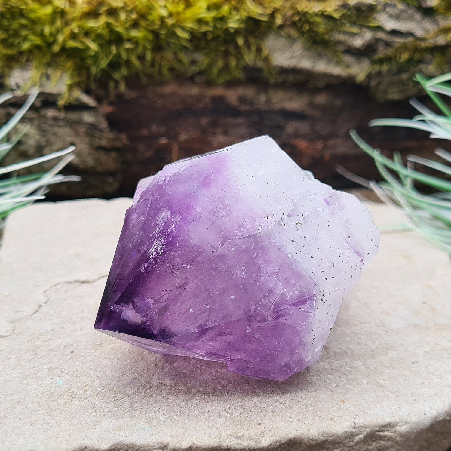 Natural Amethyst Point from Brazil. Has a rainbow in the tip. Fabulous large piece of Amethyst with lovely dark purple colouring, polished point and the rest of the crystal is natural. Also known as an Amethyst Root.