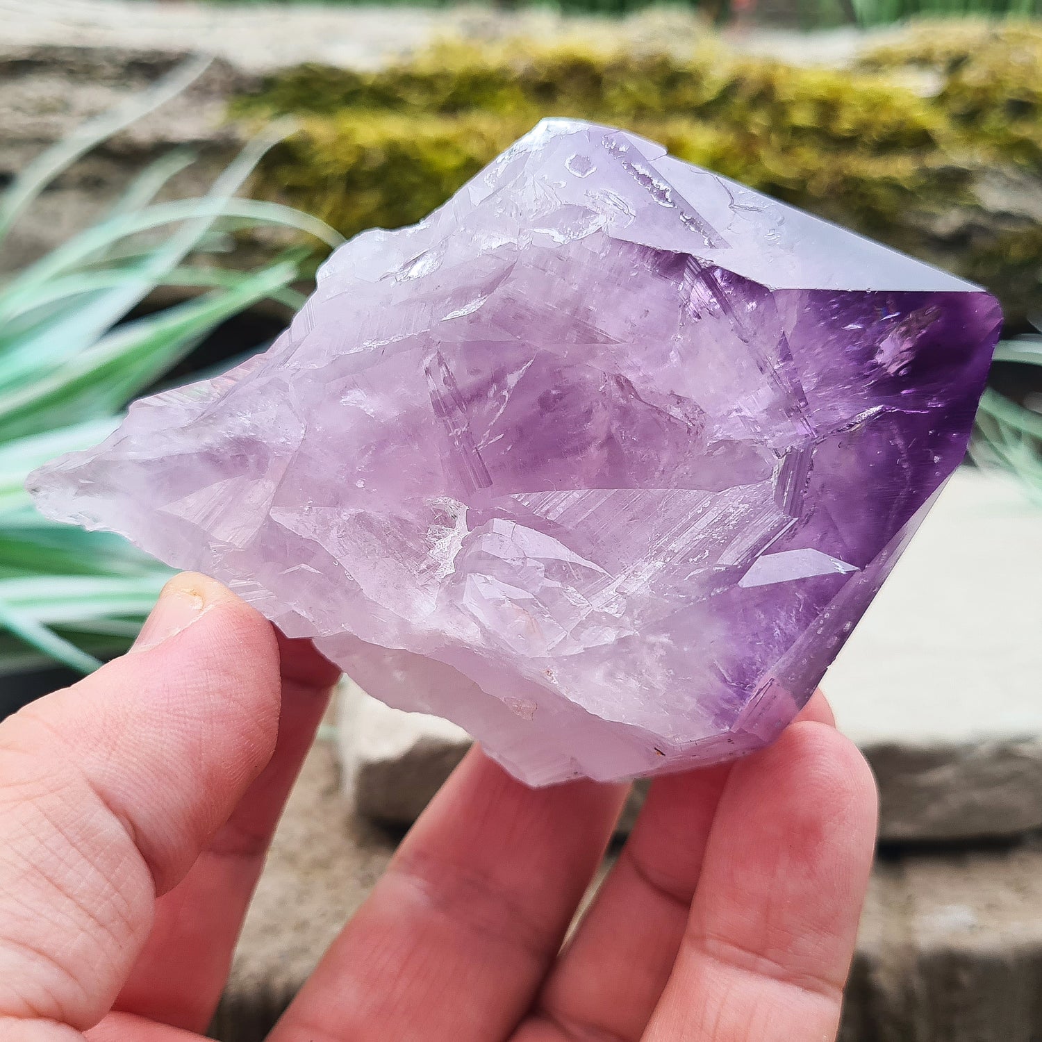 Natural Amethyst Point from Brazil. Has a rainbow in the tip. Fabulous large piece of Amethyst with lovely dark purple colouring, polished point and the rest of the crystal is natural. Also known as an Amethyst Root.