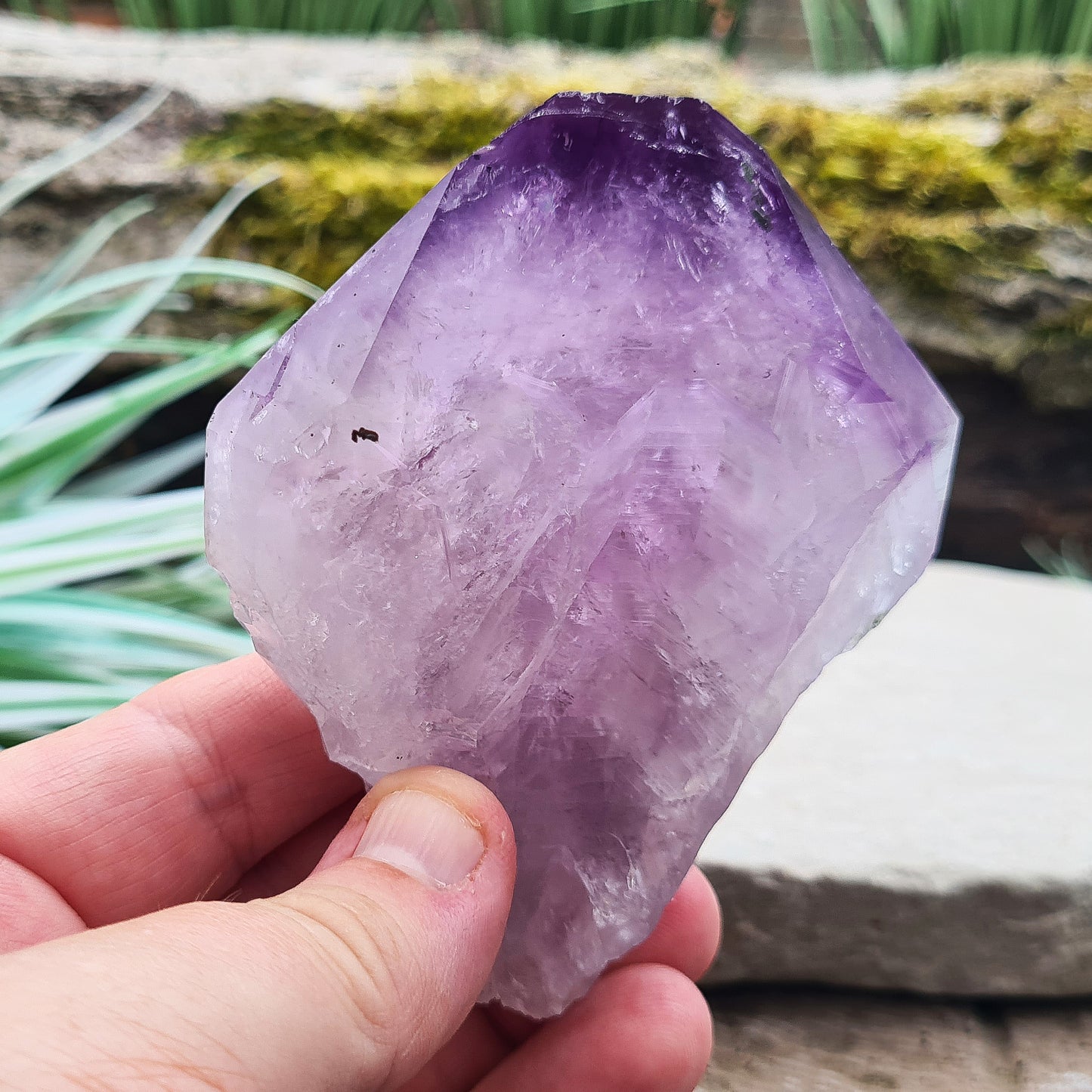 Brazilian Amethyst Point with deep dark purple color, polished tip, and natural body, also known as 'Amethyst Teeth' or 'Amethyst Root.