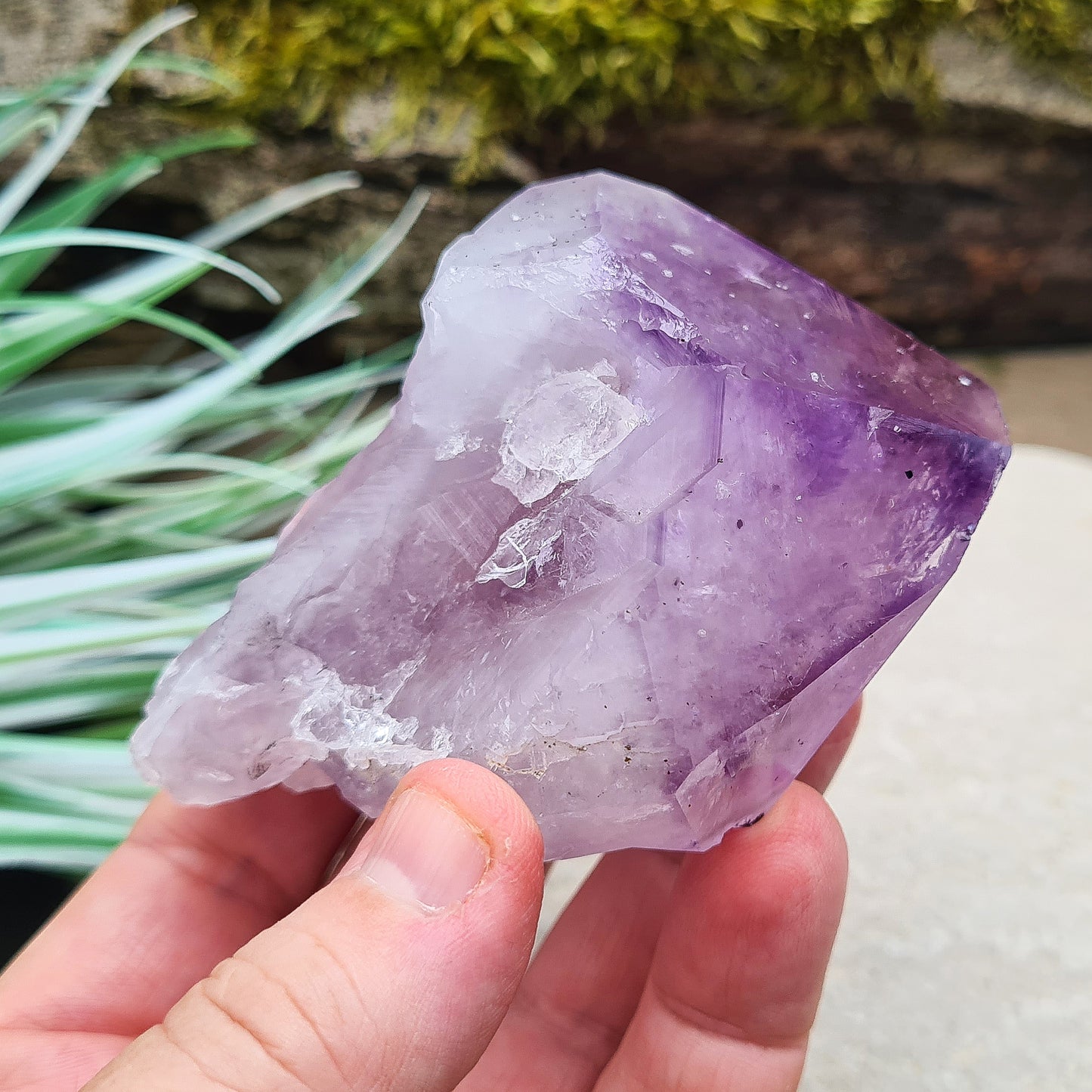 Brazilian Amethyst Point with deep dark purple color, polished tip, and natural body, also known as 'Amethyst Teeth' or 'Amethyst Root.