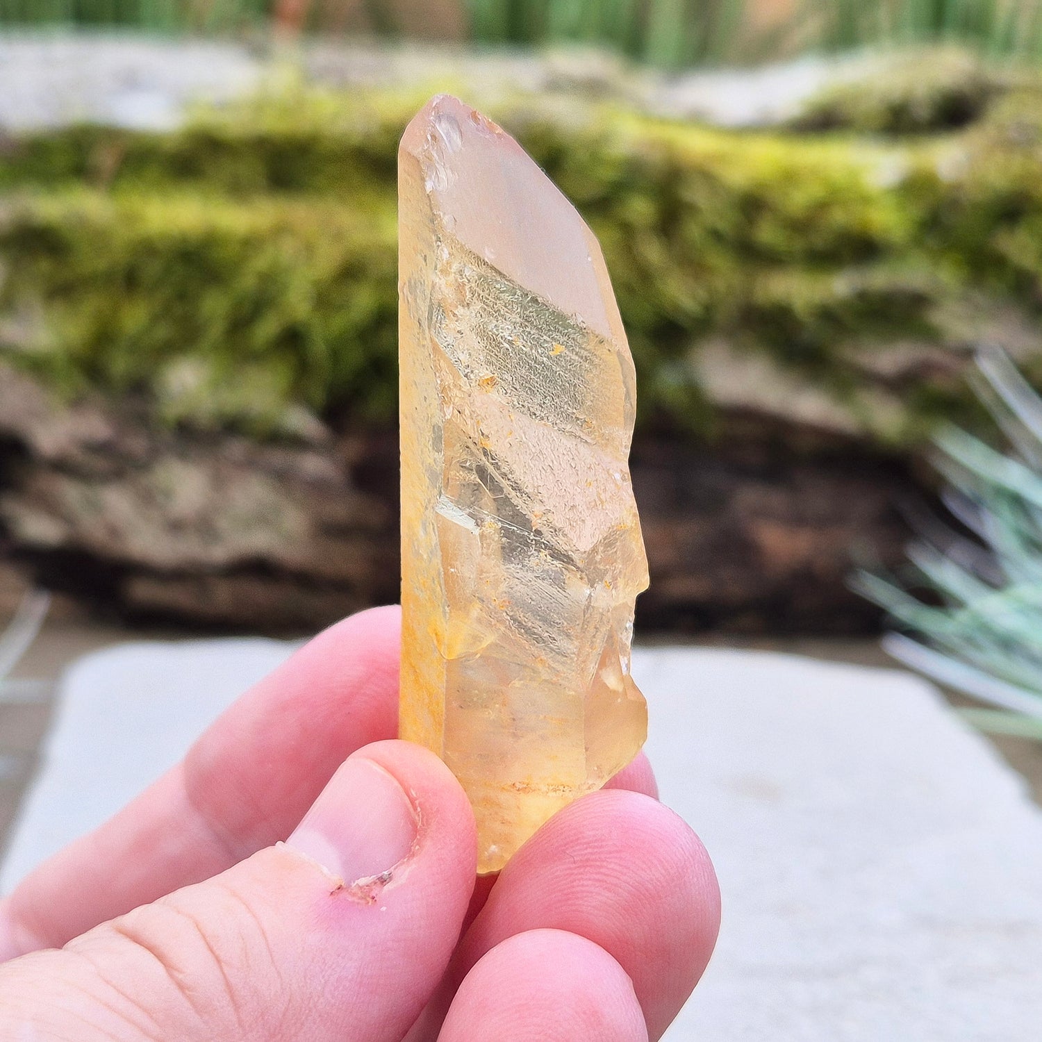 Natural Untreated Citrine Point from Northern Zambia, and has a light honey colour.


Length - 5.5 cm, Width - 1.5 cm at widest point, depth - 1.5 to 1.7 cm at thickest, weight : 25 gm