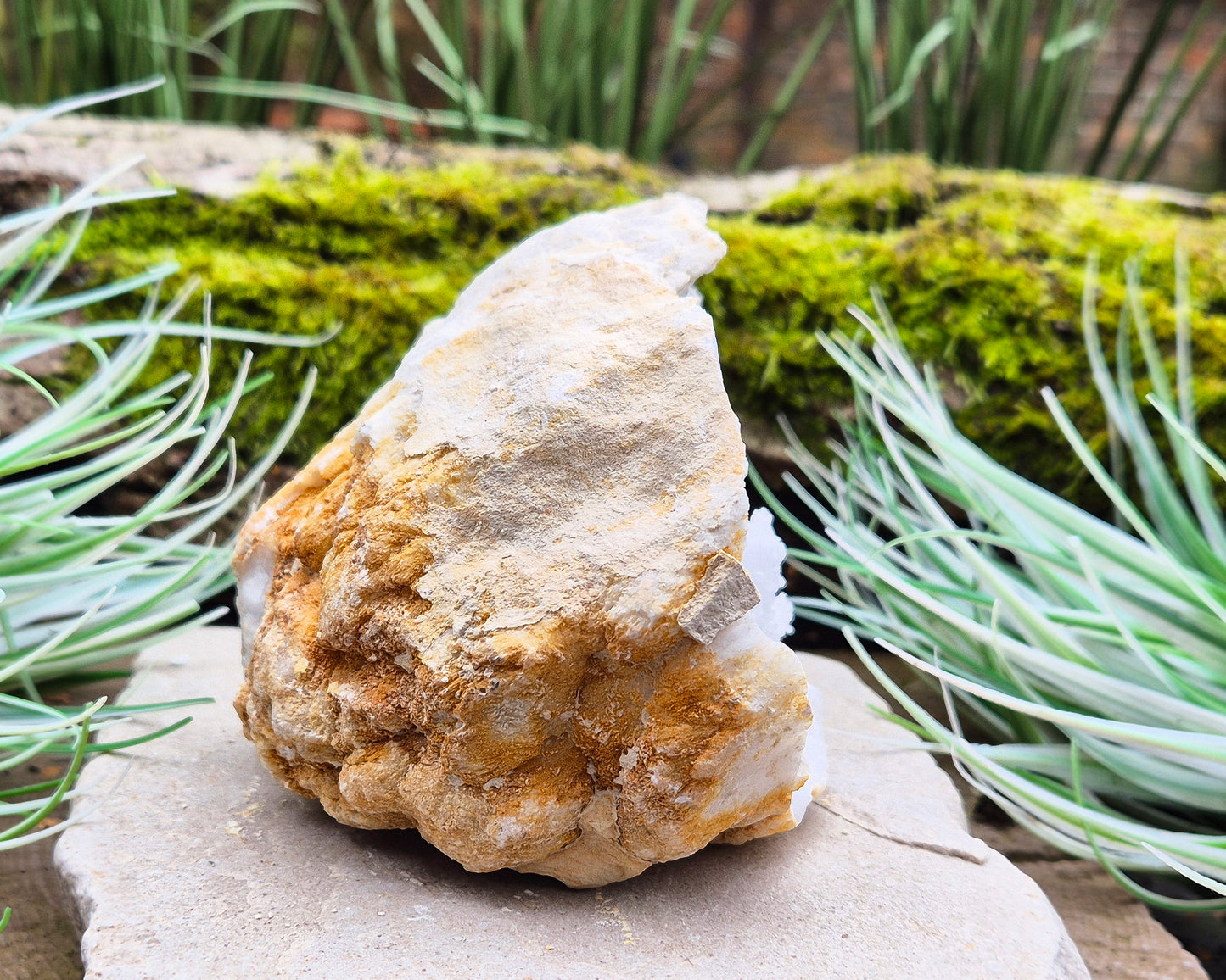 White Quartz Crystal Geode Half, from Morocco. Lovely sparkling white quartz crystal formations. It can sit on its own on an even surface.

Weight - 547 gm, Length - 11 cm, Width - 8 cm at widest, height - 9 cm