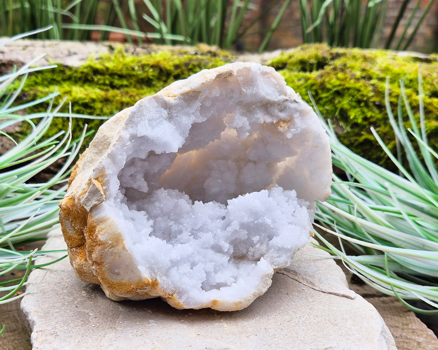 White Quartz Crystal Geode Half, from Morocco. Lovely sparkling white quartz crystal formations. It can sit on its own on an even surface.

Weight - 547 gm, Length - 11 cm, Width - 8 cm at widest, height - 9 cm