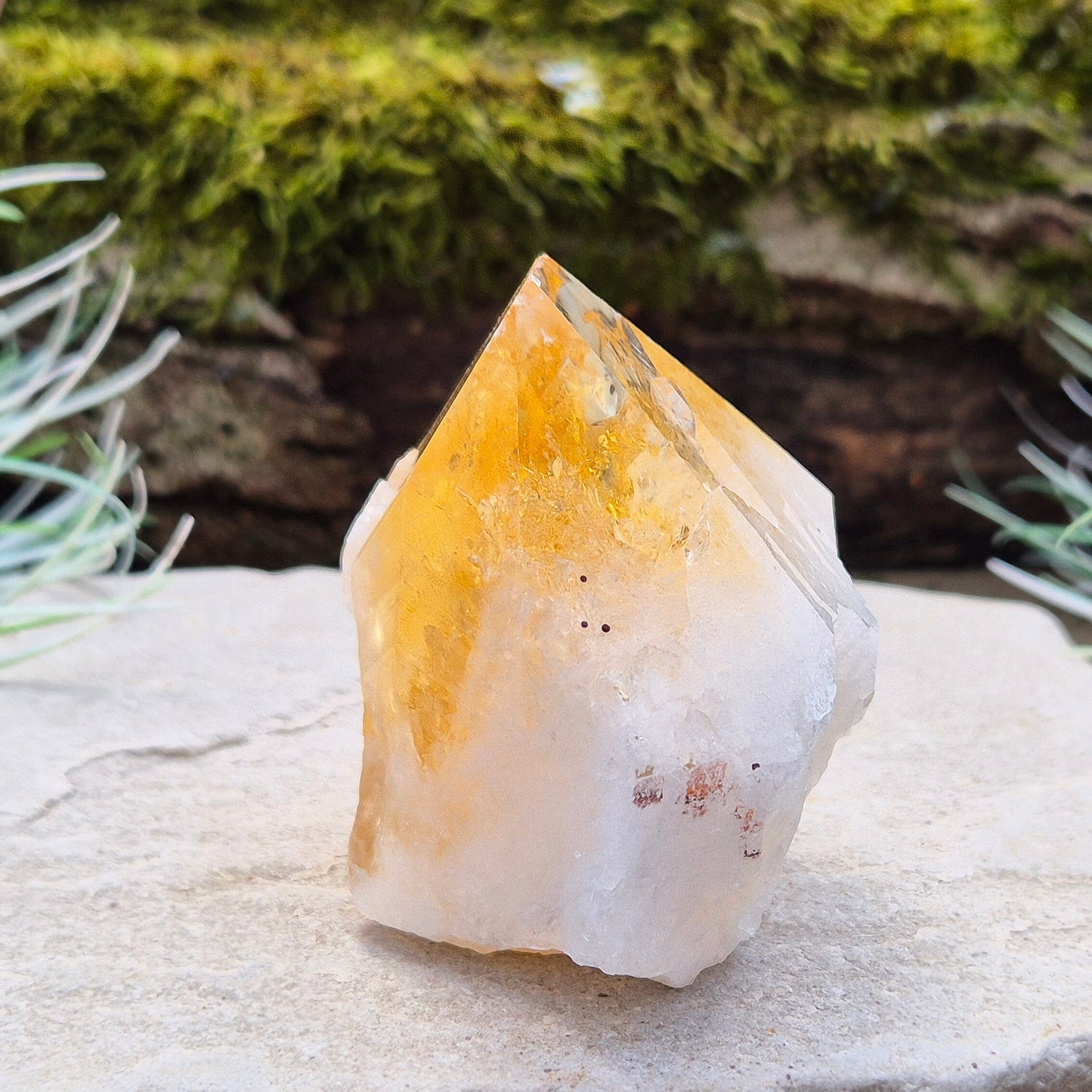 Citrine Crystal Standing Point. From Brazil. Wonderful golden yellowy orange colouring with light reflecting inclusions at the top. Tip is polished, base is cut flat and the rest is left natural.