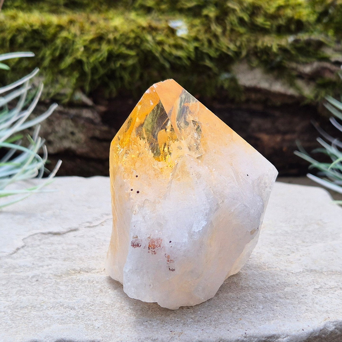 Citrine Crystal Standing Point. From Brazil. Wonderful golden yellowy orange colouring with light reflecting inclusions at the top. Tip is polished, base is cut flat and the rest is left natural.