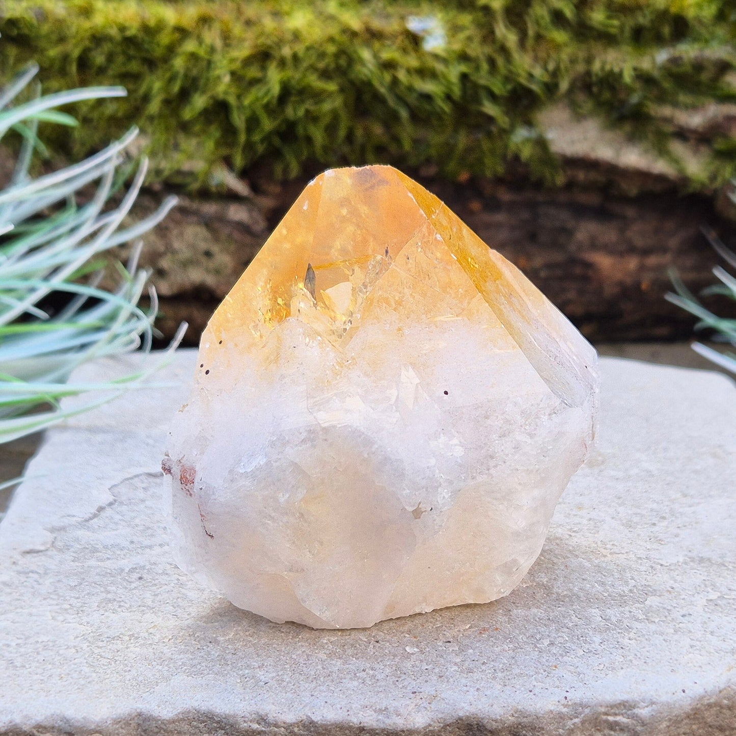 Citrine Crystal Standing Point, Part Polished, Part Natural