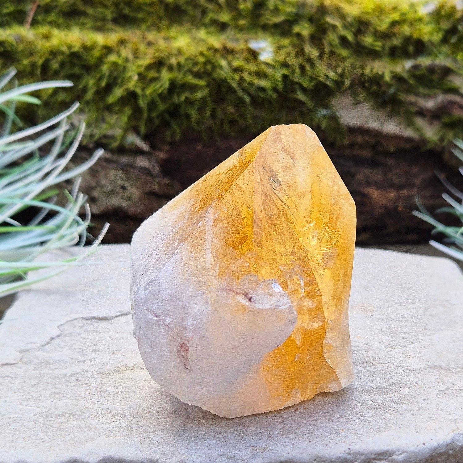 Citrine Crystal Standing Point. From Brazil. Wonderful golden yellowy orange colouring with light reflecting inclusions at the top. Tip is polished, base is cut flat and the rest is left natural.