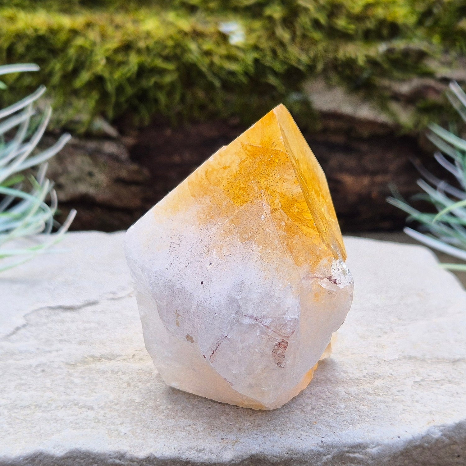 Citrine Crystal Standing Point. From Brazil. Wonderful golden yellowy orange colouring with light reflecting inclusions at the top. Tip is polished, base is cut flat and the rest is left natural.