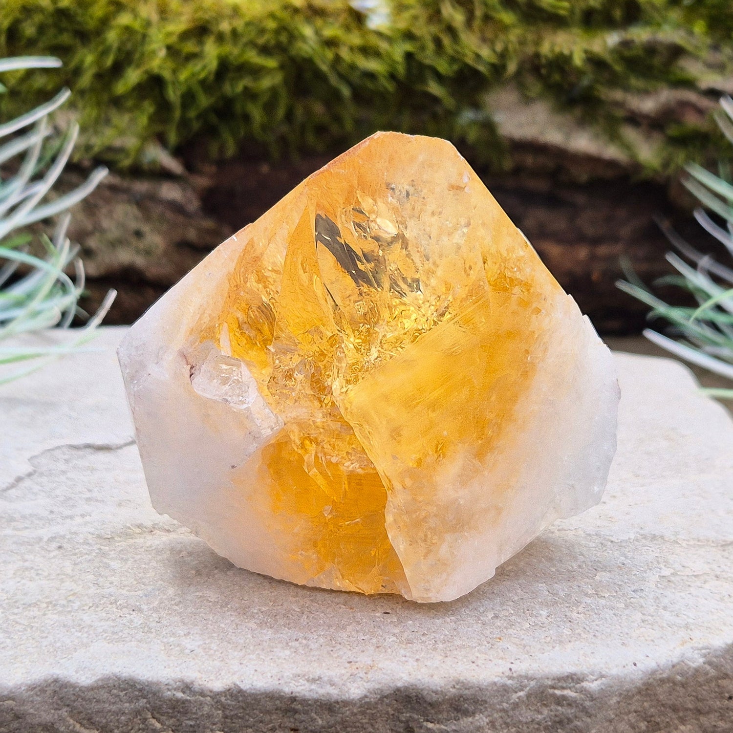 Citrine Crystal Standing Point. From Brazil. Wonderful golden yellowy orange colouring with light reflecting inclusions at the top. Tip is polished, base is cut flat and the rest is left natural.