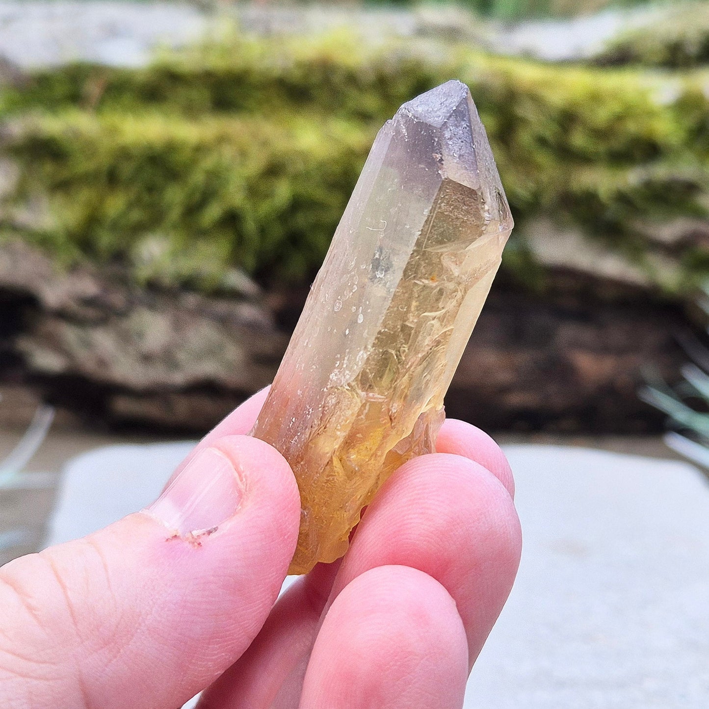 Citrine Crystal Point, Natural, Zambia