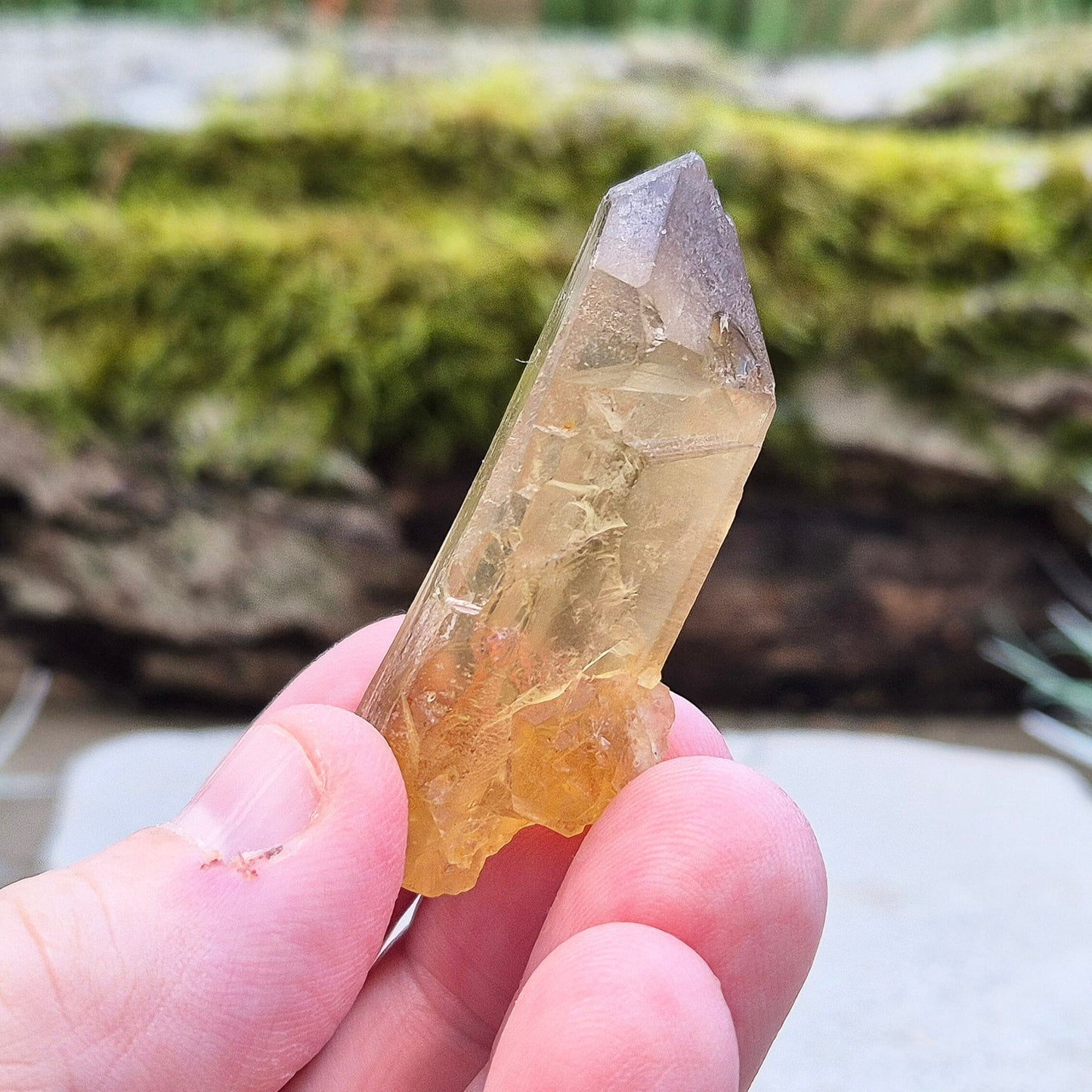 Citrine Crystal Point, Natural, Zambia