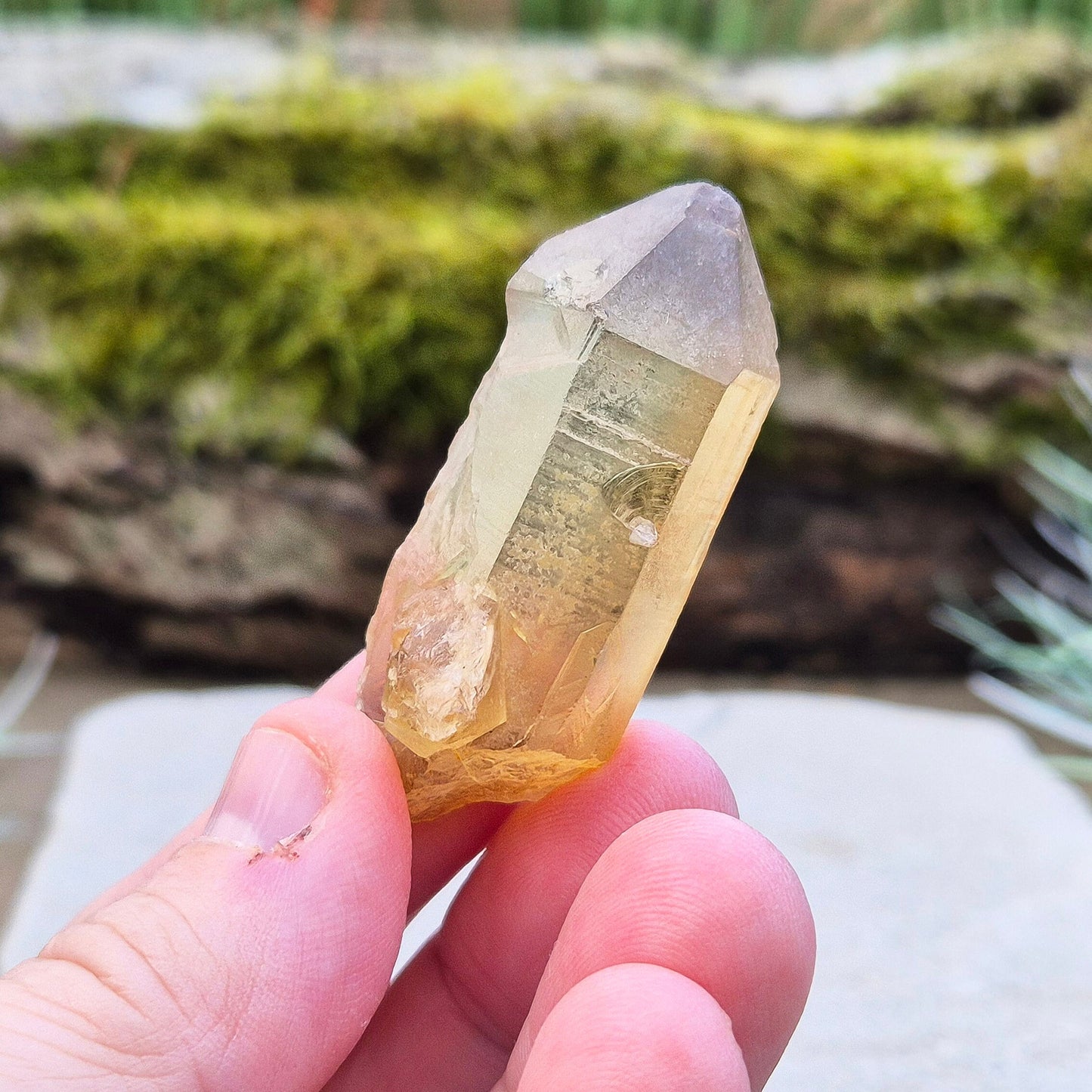 Citrine Crystal Point, Natural, Zambia