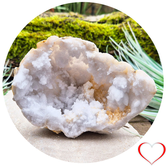 White Quartz Crystal Geode Half, from Morocco. Lovely sparkling white quartz crystal formations. It can sit on an even surface by itself.

Weight - 174 gm, Length - 10.8 cm, Width - 4 cm at widest, height - 8 cm