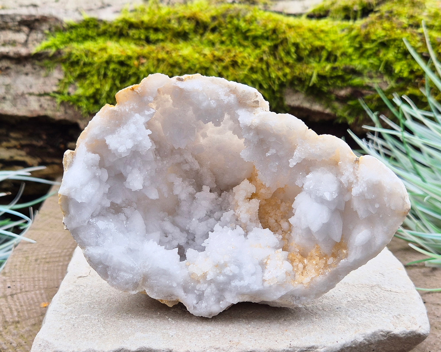 White Quartz Crystal Geode Half, from Morocco. Lovely sparkling white quartz crystal formations. It can sit on an even surface by itself.

Weight - 174 gm, Length - 10.8 cm, Width - 4 cm at widest, height - 8 cm