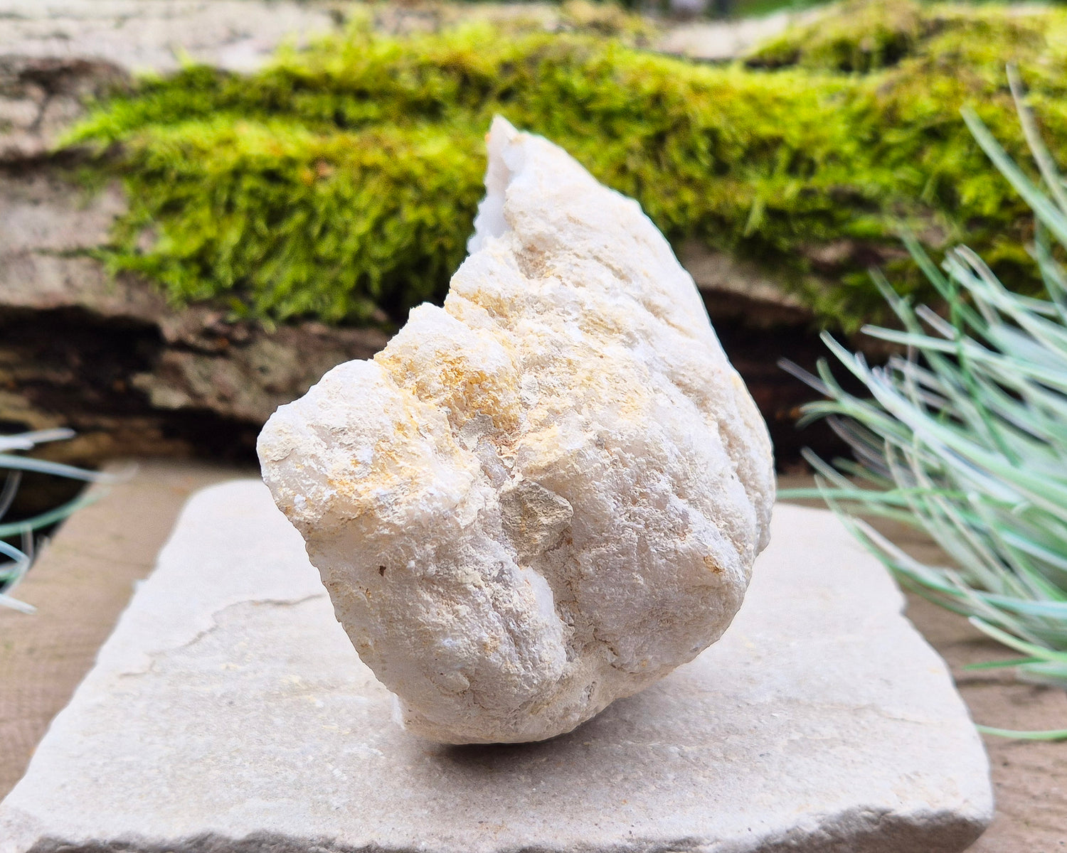 White Quartz Crystal Geode Half, from Morocco. Lovely sparkling white quartz crystal formations. It can sit on an even surface by itself.

Weight - 174 gm, Length - 10.8 cm, Width - 4 cm at widest, height - 8 cm