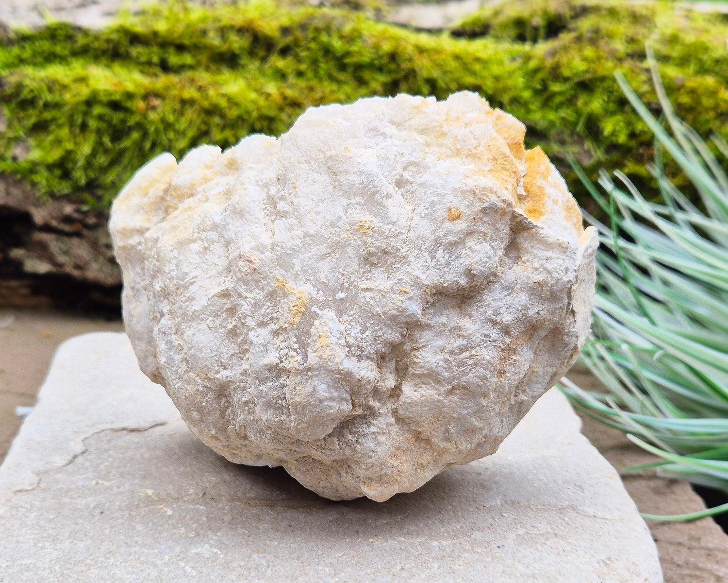 White Quartz Crystal Geode Half, from Morocco. Lovely sparkling white quartz crystal formations. It can sit on an even surface by itself.